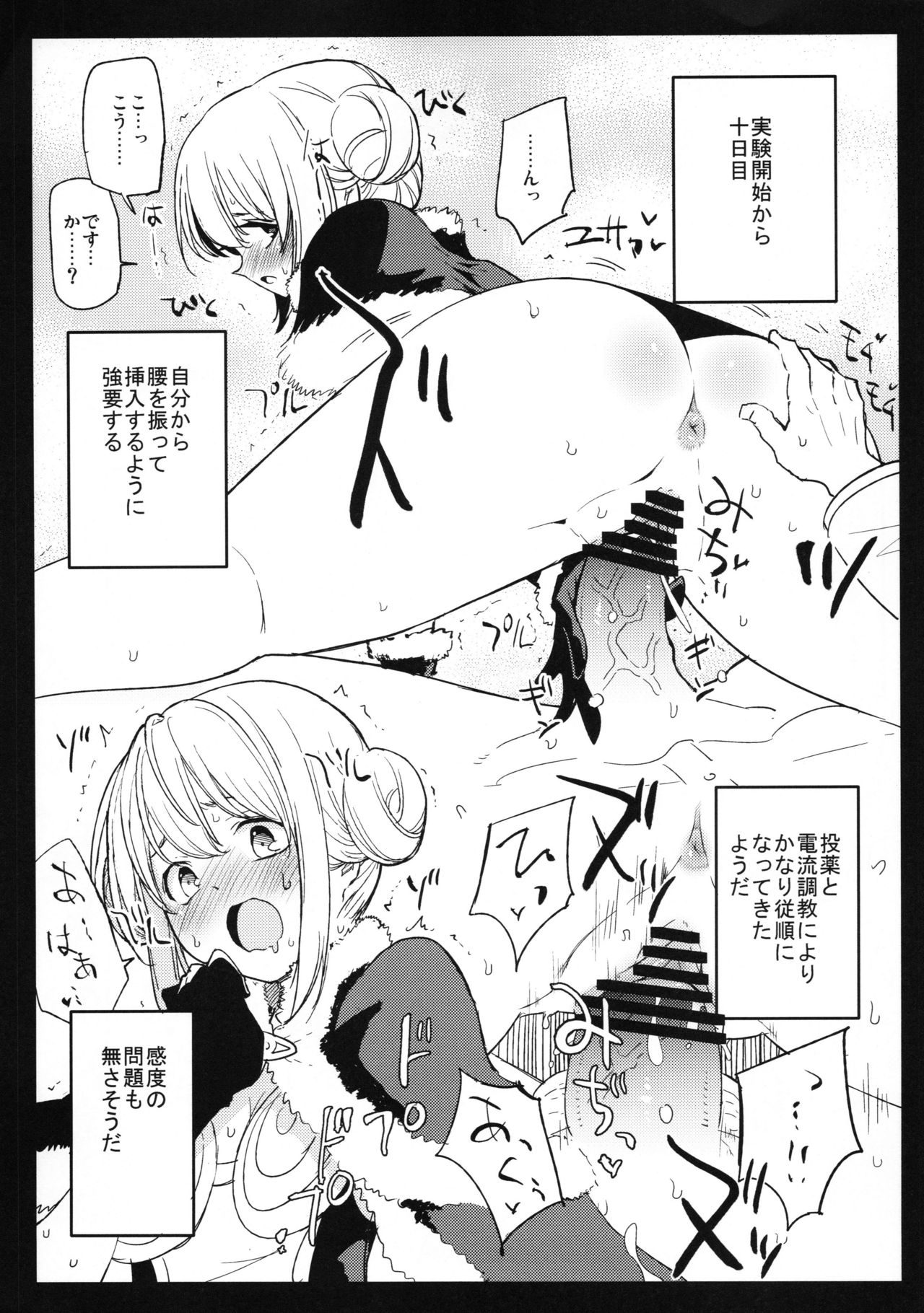 (C90) [白ネギ屋 (miya9)] Dr.ボルゼブの研究日誌 カトリんの場合!! (ラグナロクオンライン)