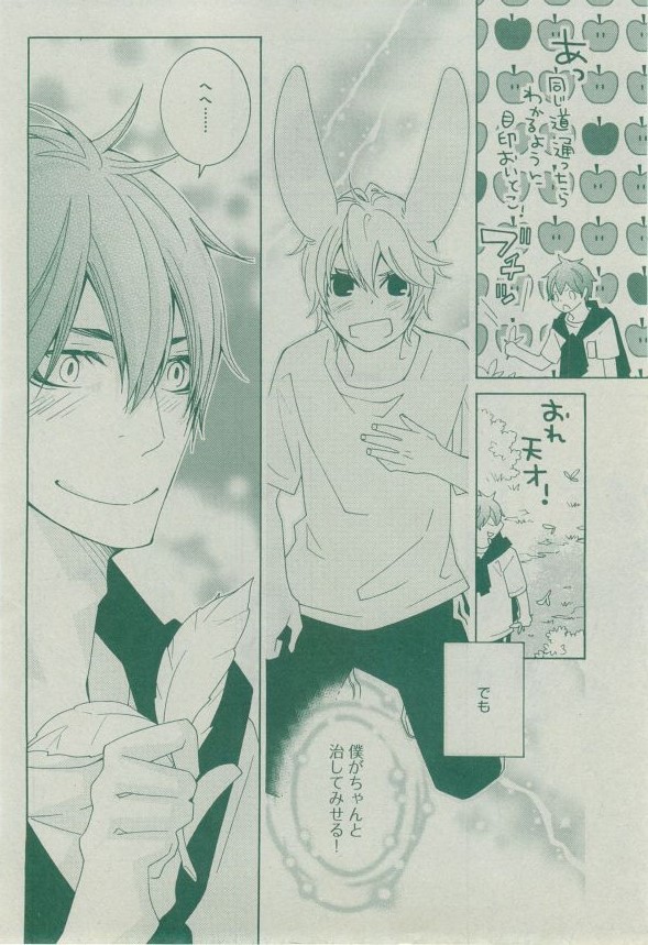 ディアプラス 2014年12月号