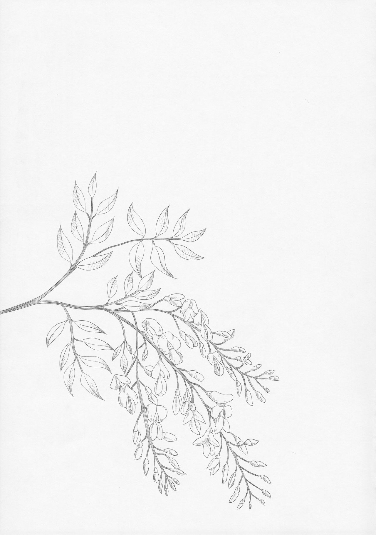 (C92) [ノラネコノタマ (雪野みなと)] 光の君のさがなき計画 〈藤壺〉