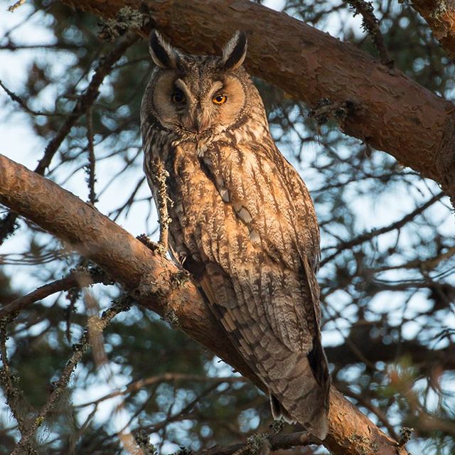 (C90) [ひとでなし (タケ)] 外れ勇者の鬼畜外道 [中国翻訳]