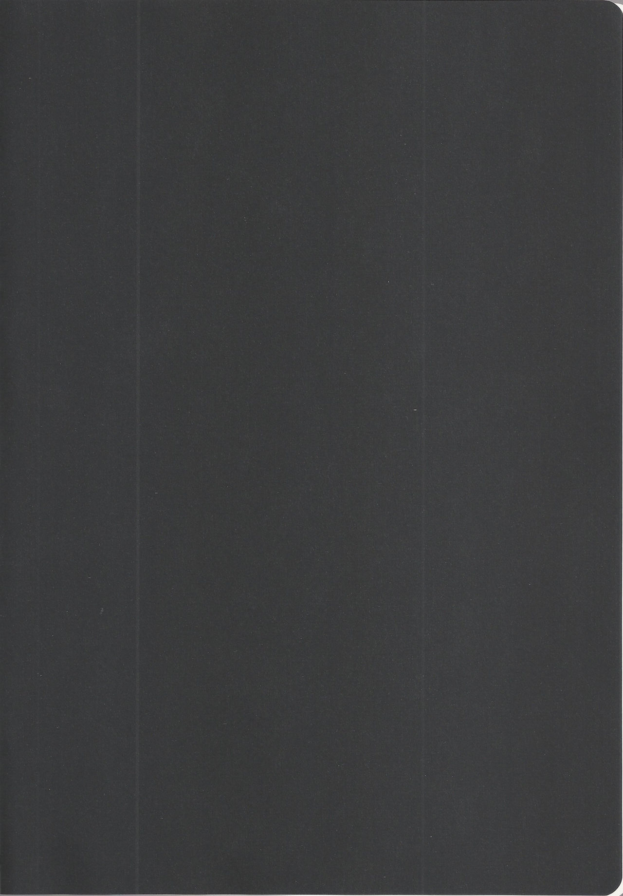 (C92) [digiX (大嶋亮)] クロちゃん、おねがい (ファイナルファンタジーXIV)