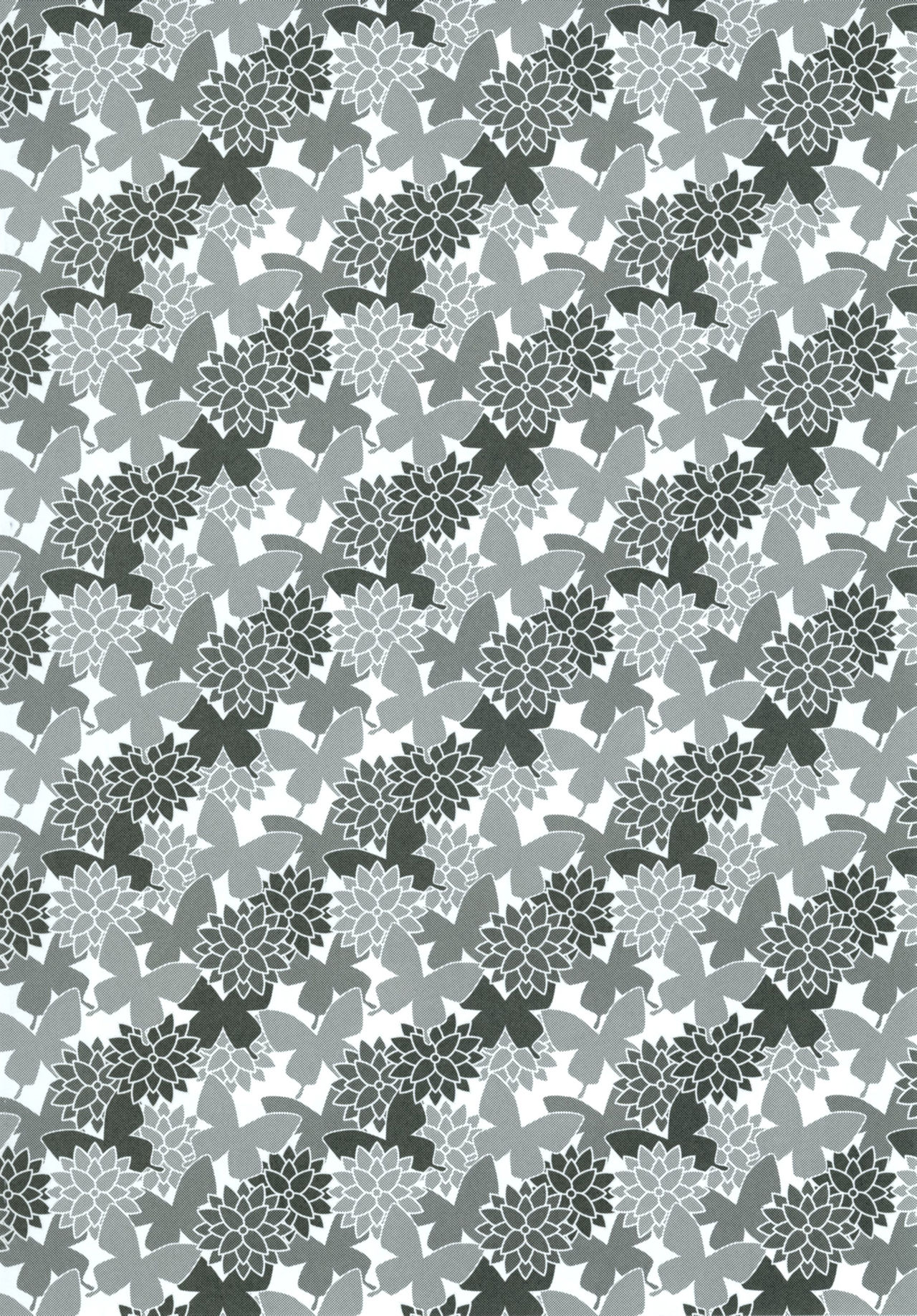 [メタネコ (蒼津ウミヒト)] ピリカルアンペ (艦隊これくしょん -艦これ-) [DL版]