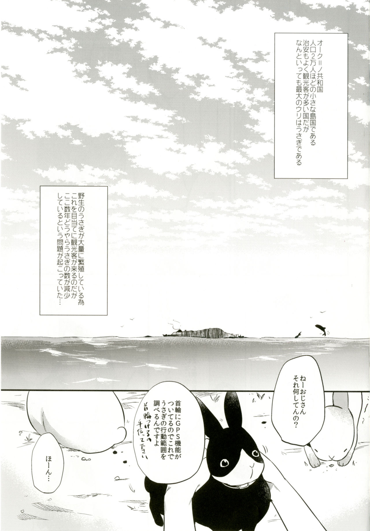 (C92) [でぃえすおー (ももこ)] RabbitParadise～afterdays～