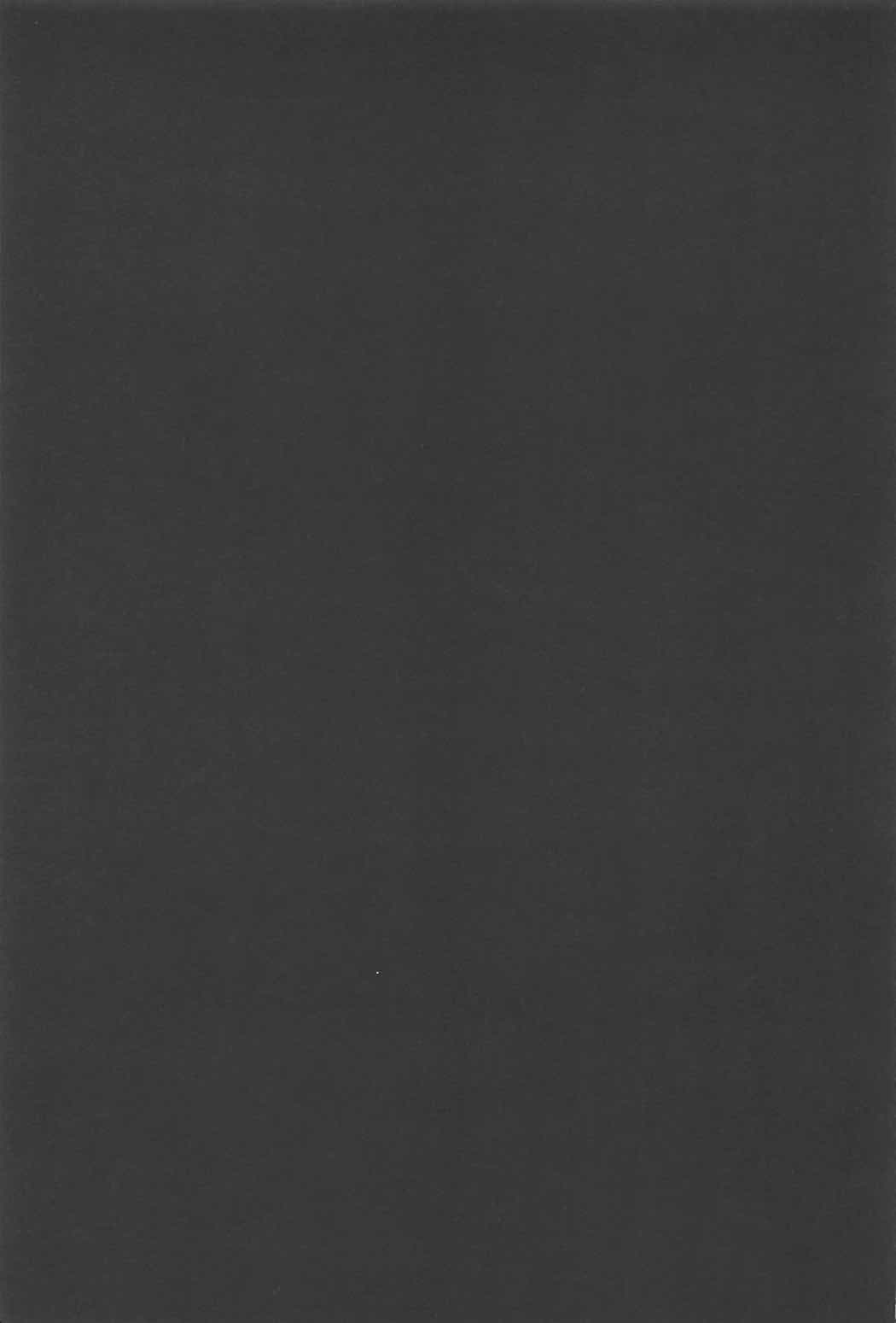 (C92) [和田マウンテン (「タカシ」)] 幻想禽獣園4 (東方Project)