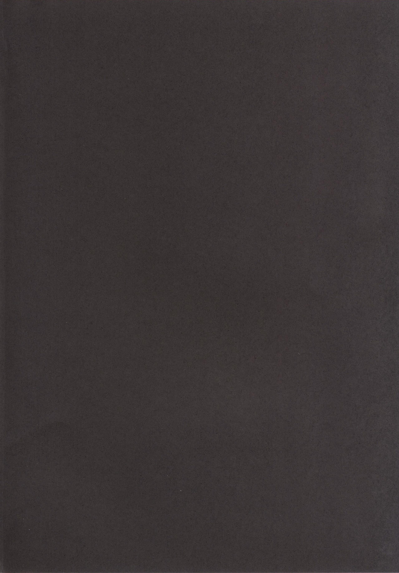 [スタジオひまわり (日向恭介)] アリシア☆フェイト姉妹義父姦UNIZON Hside2 (魔法少女リリカルなのは) [中国翻訳] [DL版]