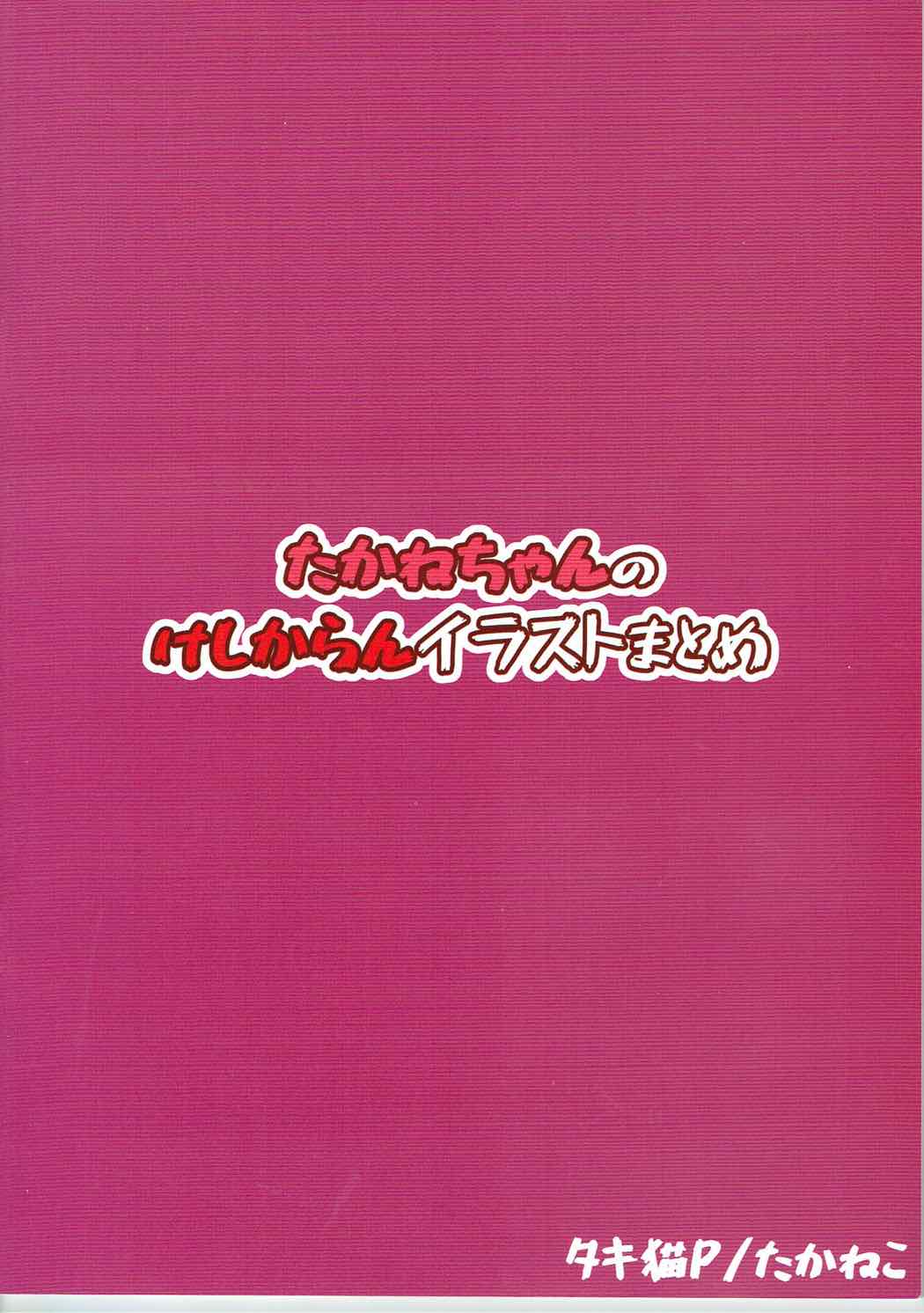 (COMIC1☆11) [たかねこ (タキ猫)] たかねちゃんのけしからんイラストまとめ (アイドルマスター)