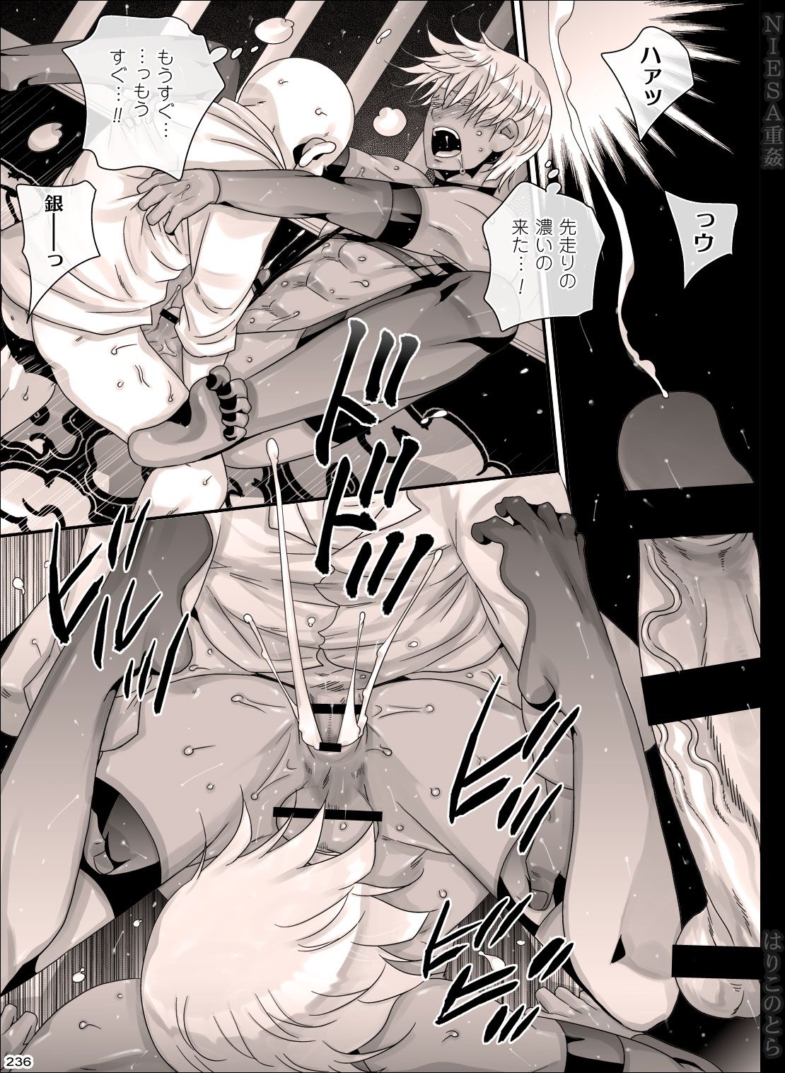 [はりこのとら (水堂とらこ)] NIESA重姦-少年複数責め- [DL版]