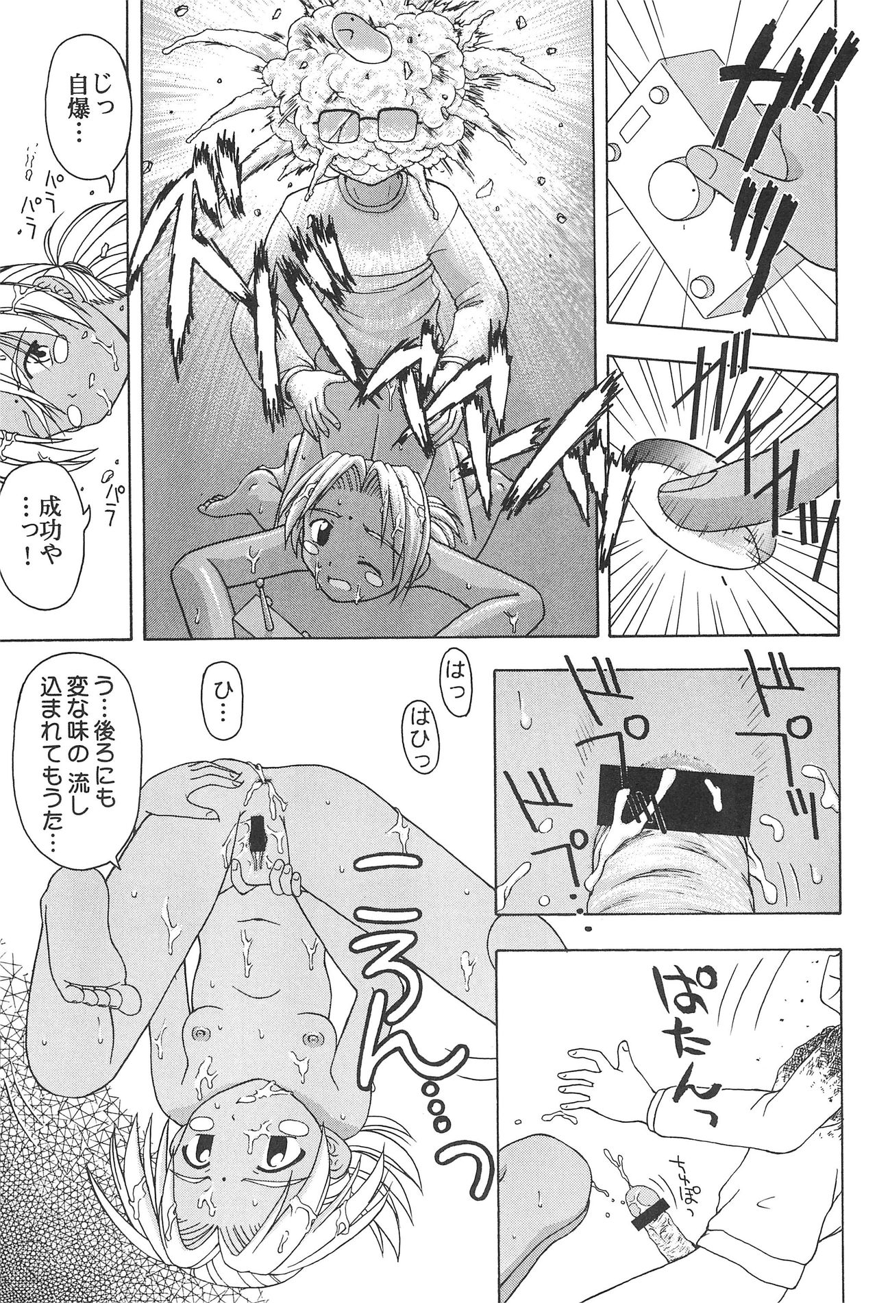 (C59) [CIRCLE FOUNDATION (藤瀬あきら)] プラちな (ラブひな)