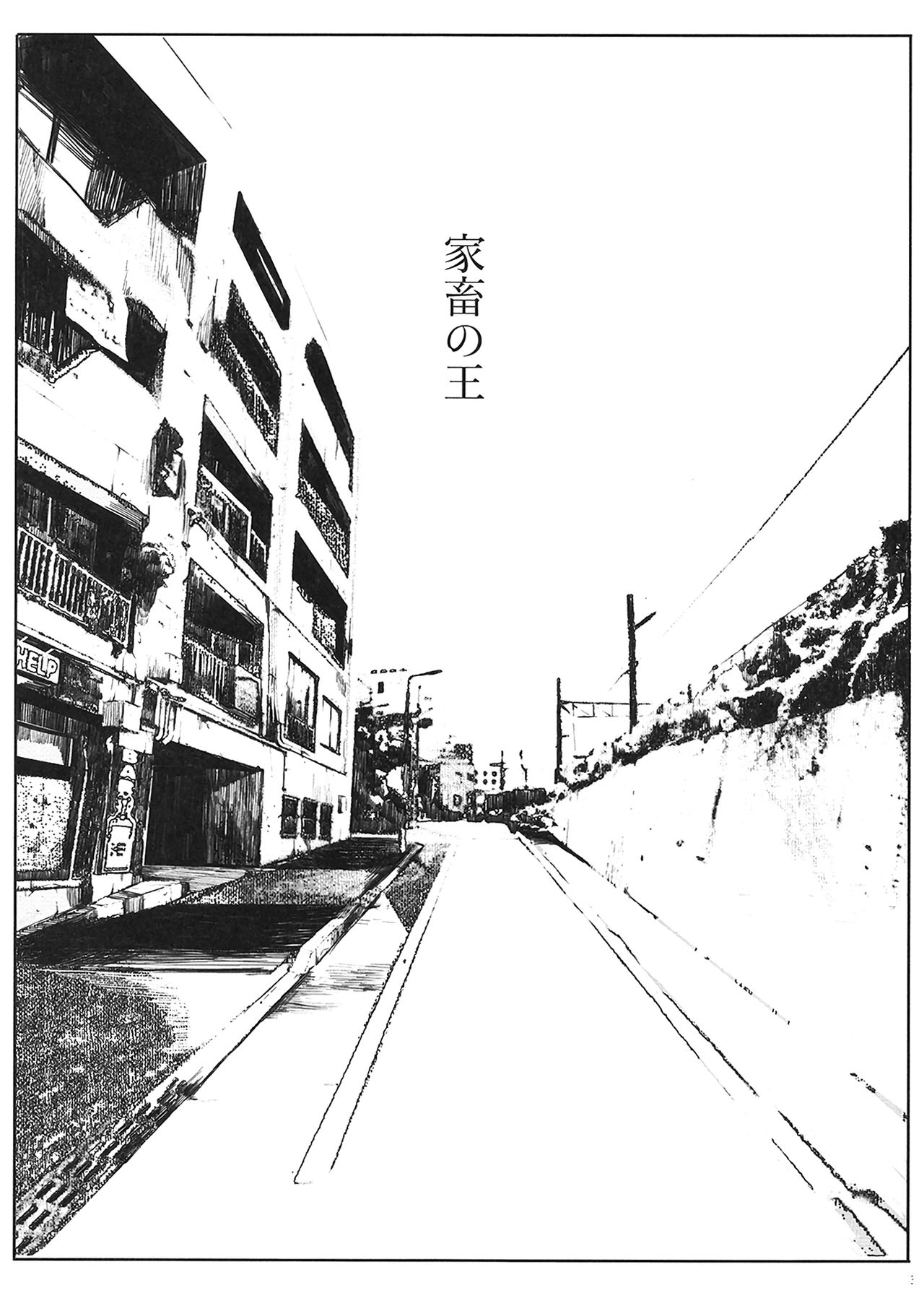 [関西オレンジ (荒井啓)] 家畜の王 [中国翻訳] [DL版]