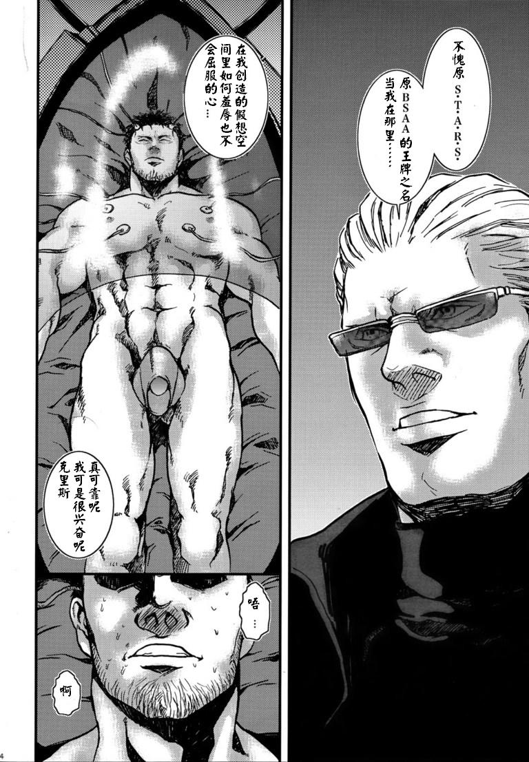 (野郎フェス2012) [たけおカンパニー (さくら)] The MERCENARIES (バイオハザード) [中国翻訳]