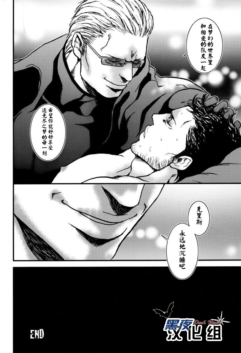 (野郎フェス2012) [たけおカンパニー (さくら)] The MERCENARIES (バイオハザード) [中国翻訳]