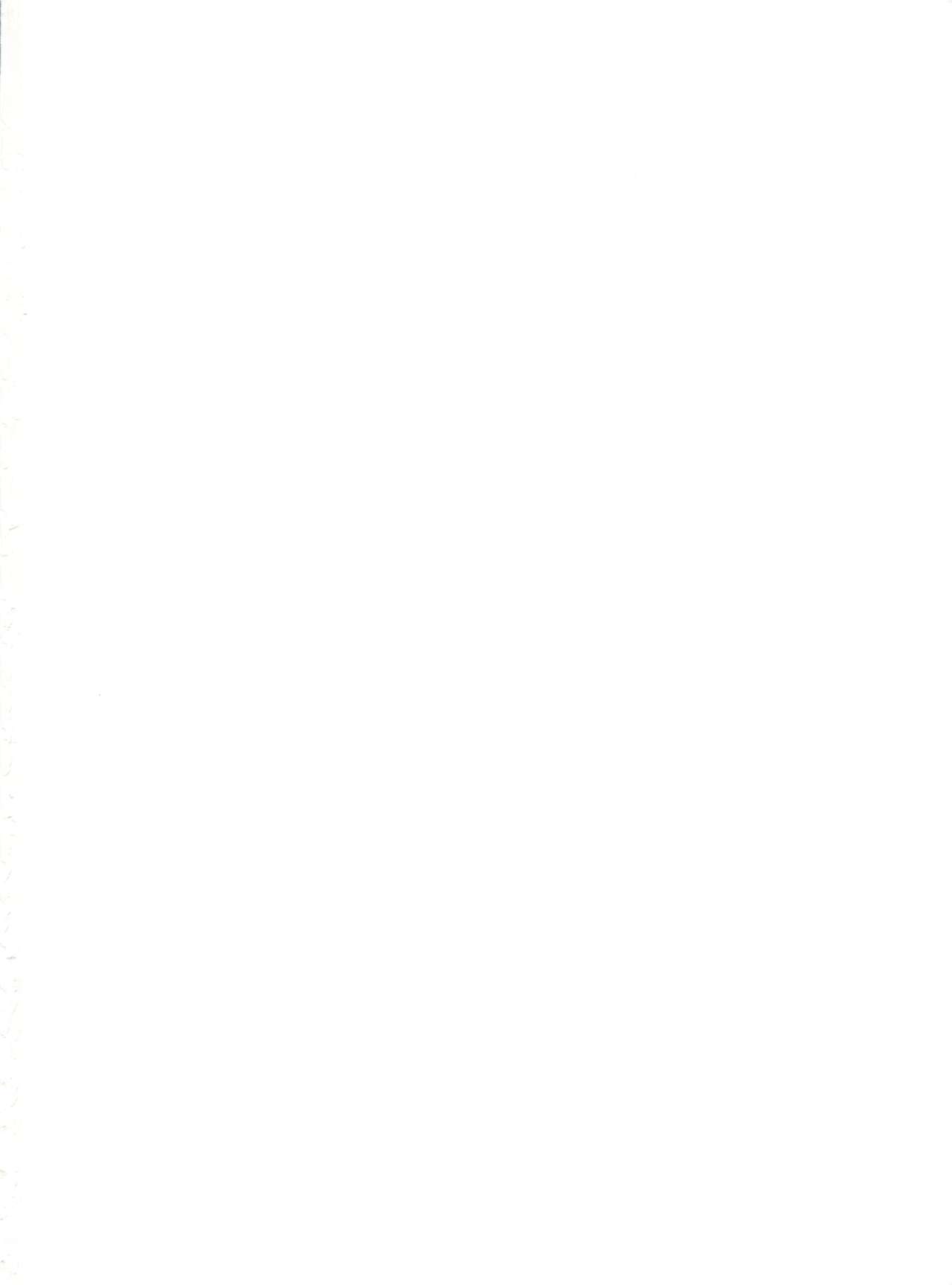 (C52) [とーふ屋 (よろず)] とーふ屋　拾参丁 (よろず)