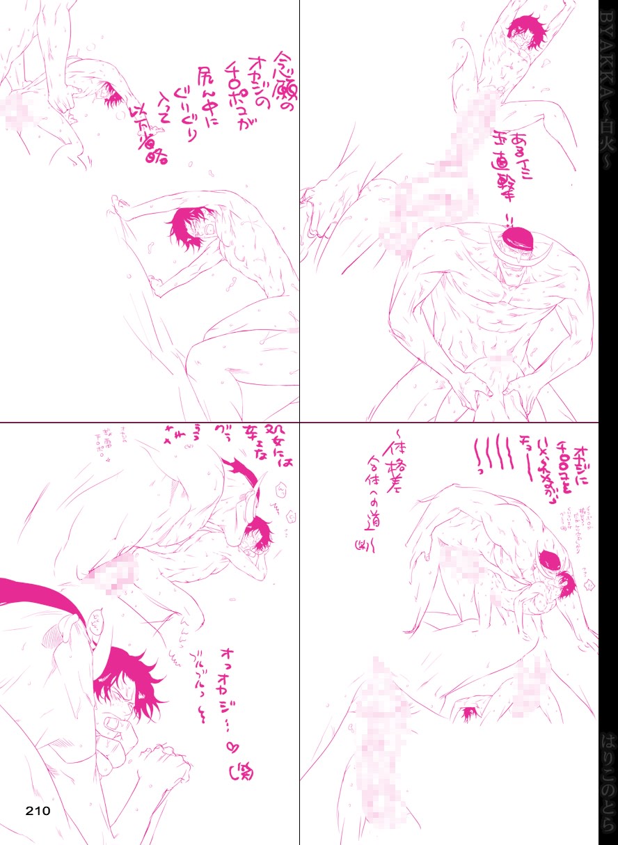 [はりこのとら (水堂とらこ)] 白火 (ワンピース) [DL版]