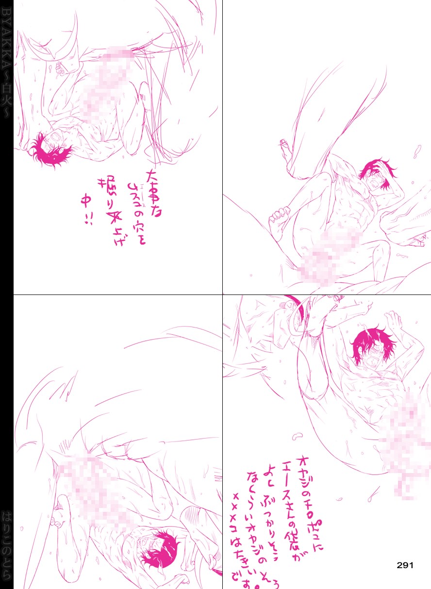 [はりこのとら (水堂とらこ)] 白火 (ワンピース) [DL版]