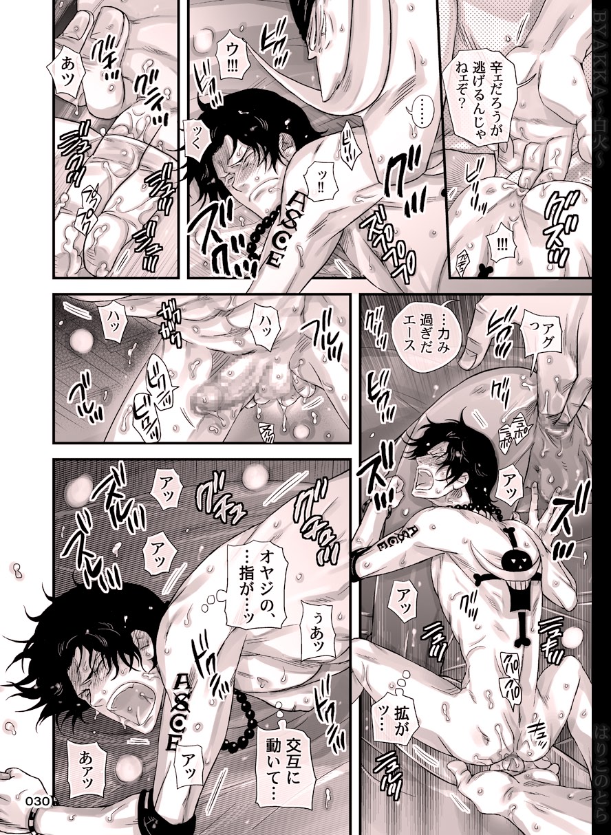 [はりこのとら (水堂とらこ)] 白火 (ワンピース) [DL版]