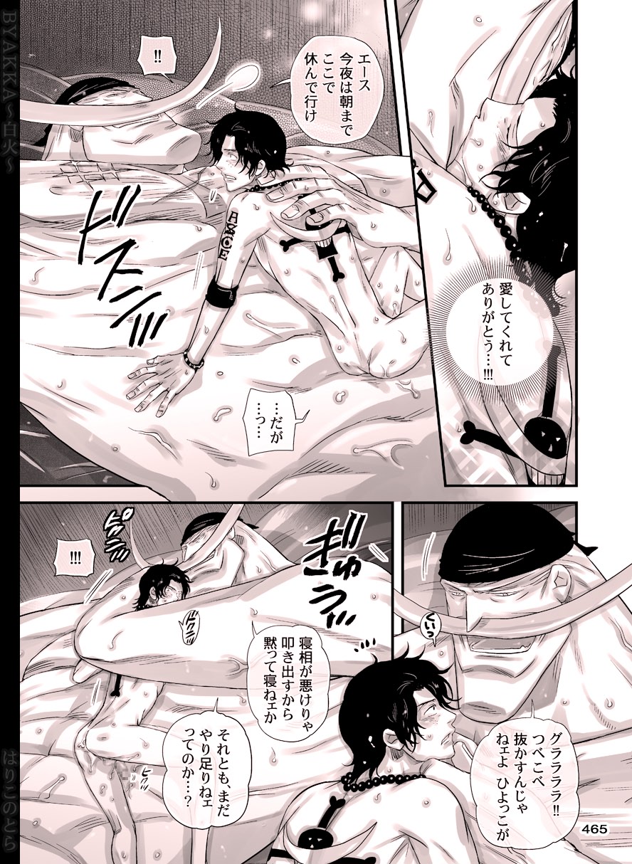 [はりこのとら (水堂とらこ)] 白火 (ワンピース) [DL版]