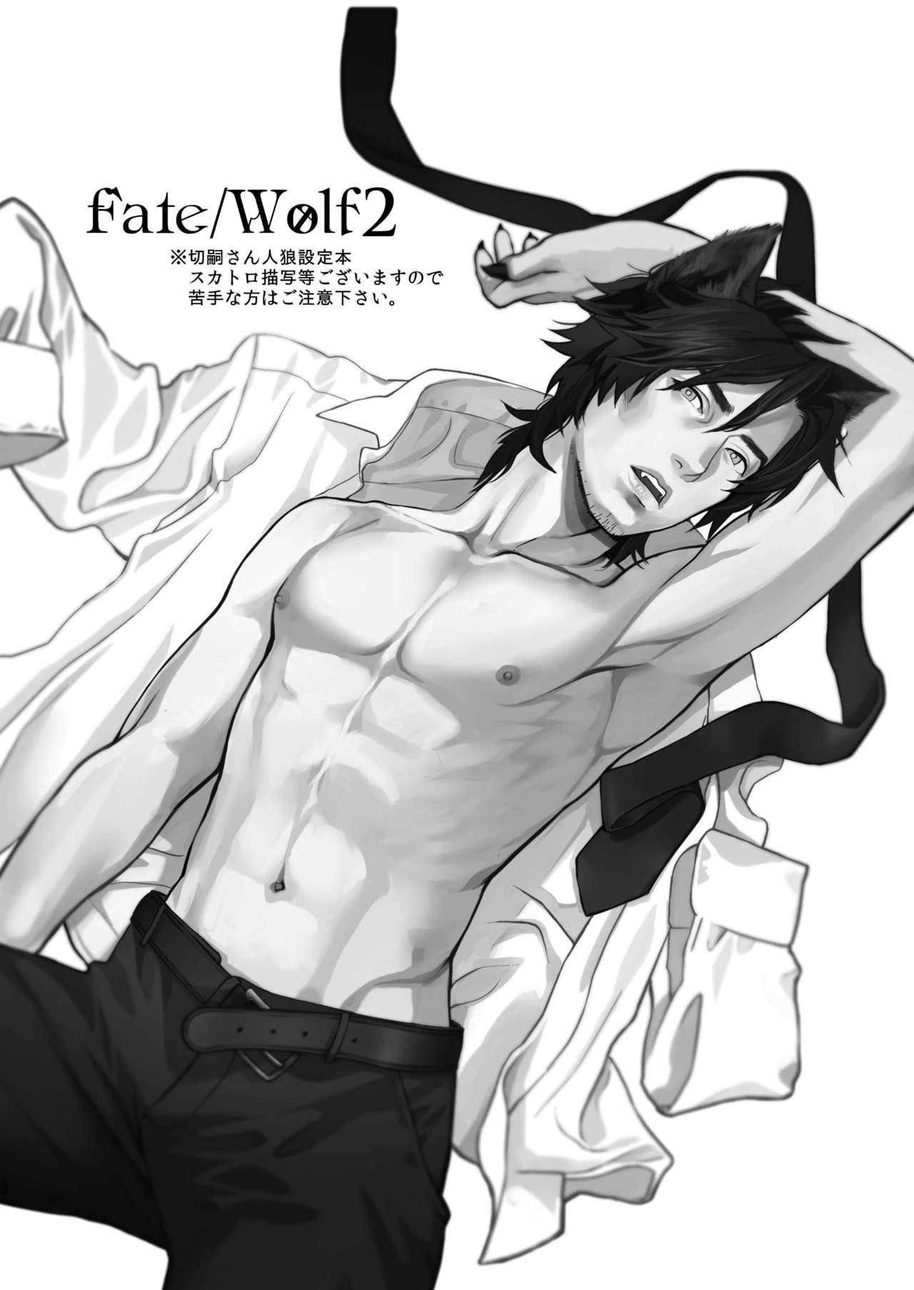 [めっちょり (みつる)] Fate/Wolf 2 (Fate/Zero) [DL版]