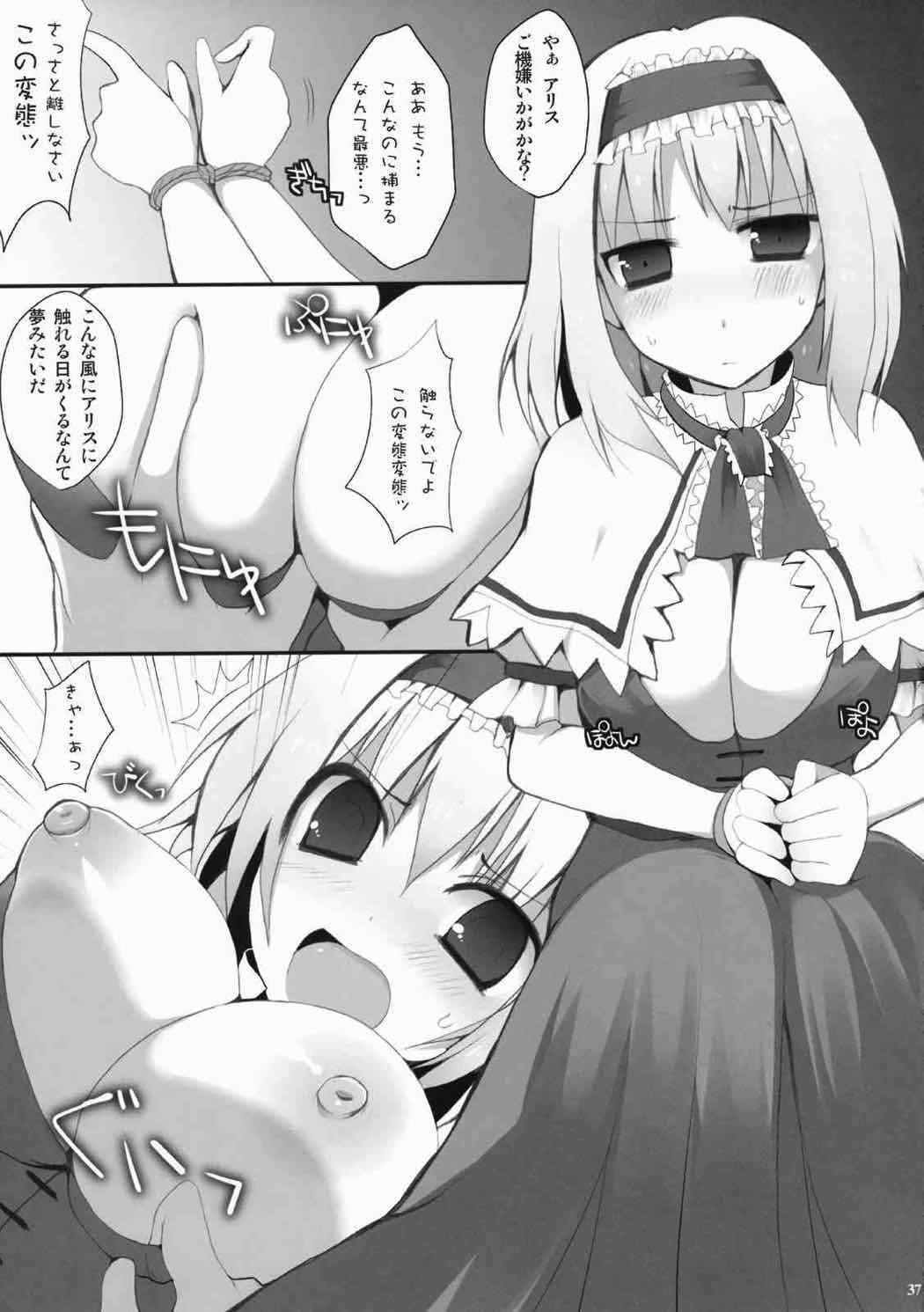 (例大祭6) [おっぱいぶらざーず (よろず)] アリスいじり合同誌 七色操り人形 (東方Project)