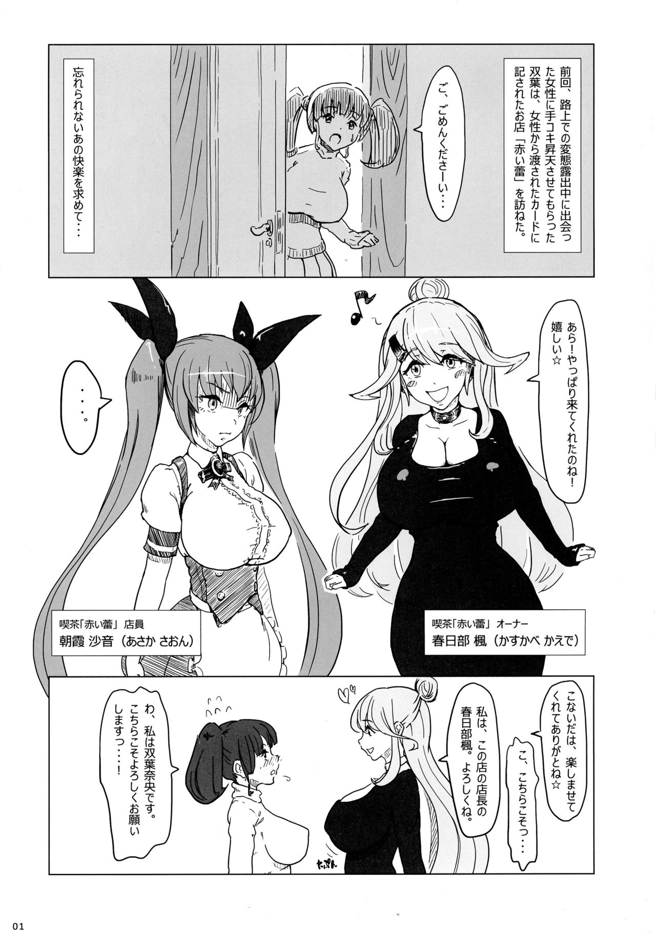 (ふたけっと12) [STUDIO カルダモン (葉浦昌平)] ふたならいふ Vol.2 未完成版