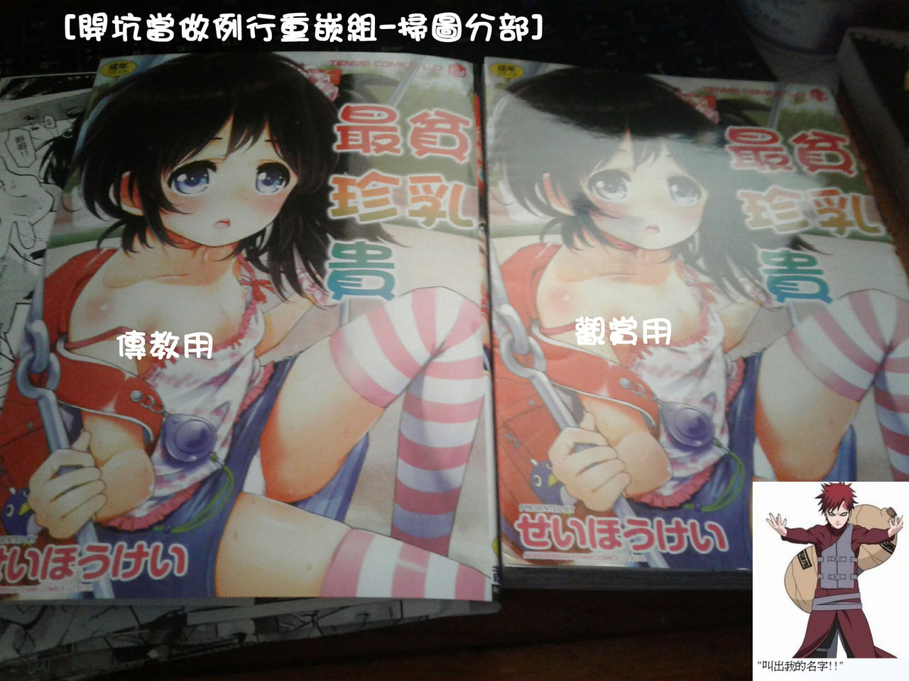 [せいほうけい] ちっぱいはせいこうのもと [中国翻訳]