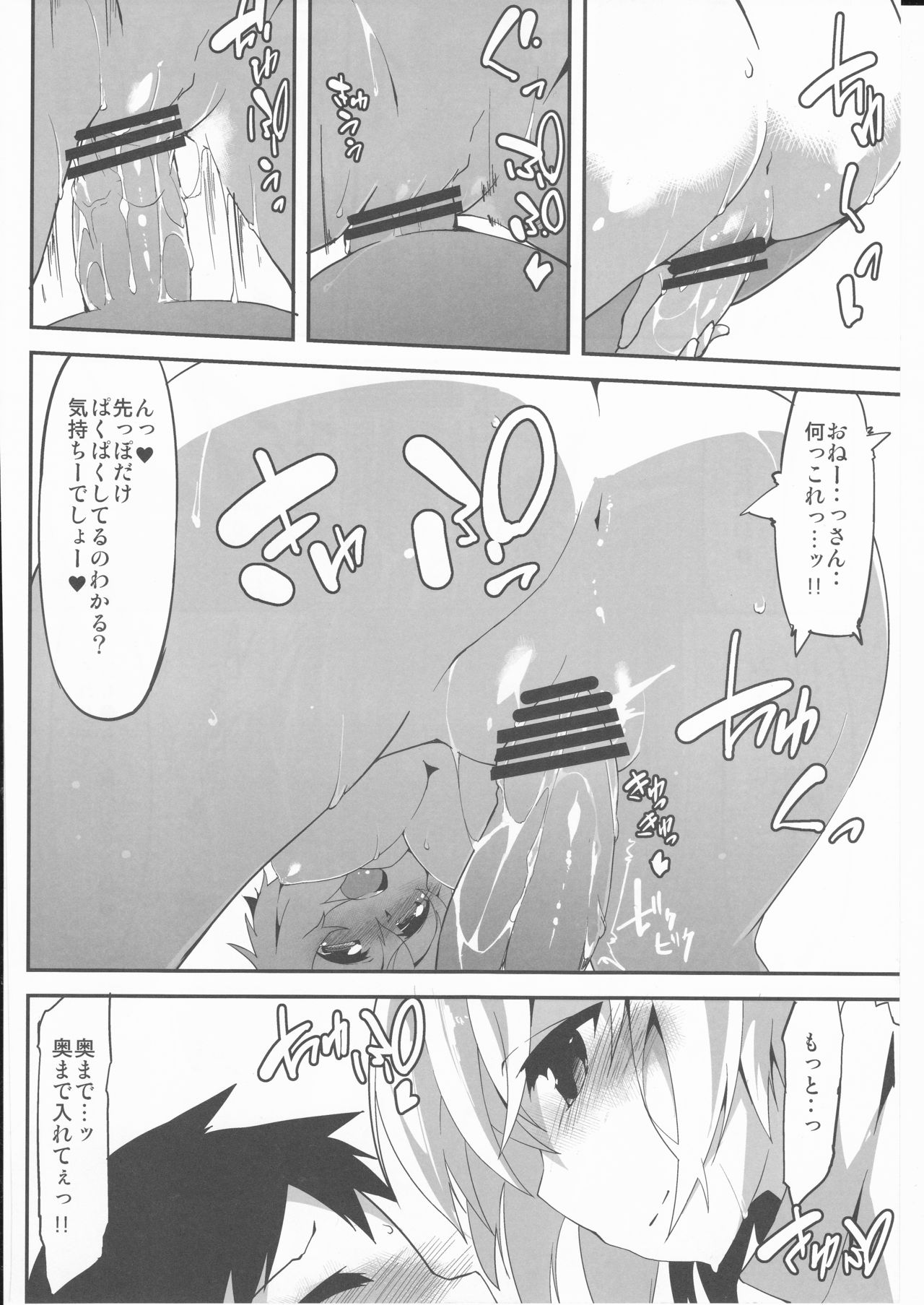 (C88) [圧縮工房 (テラzip)] えっちでわんこなお姉ちゃん (東方Project)