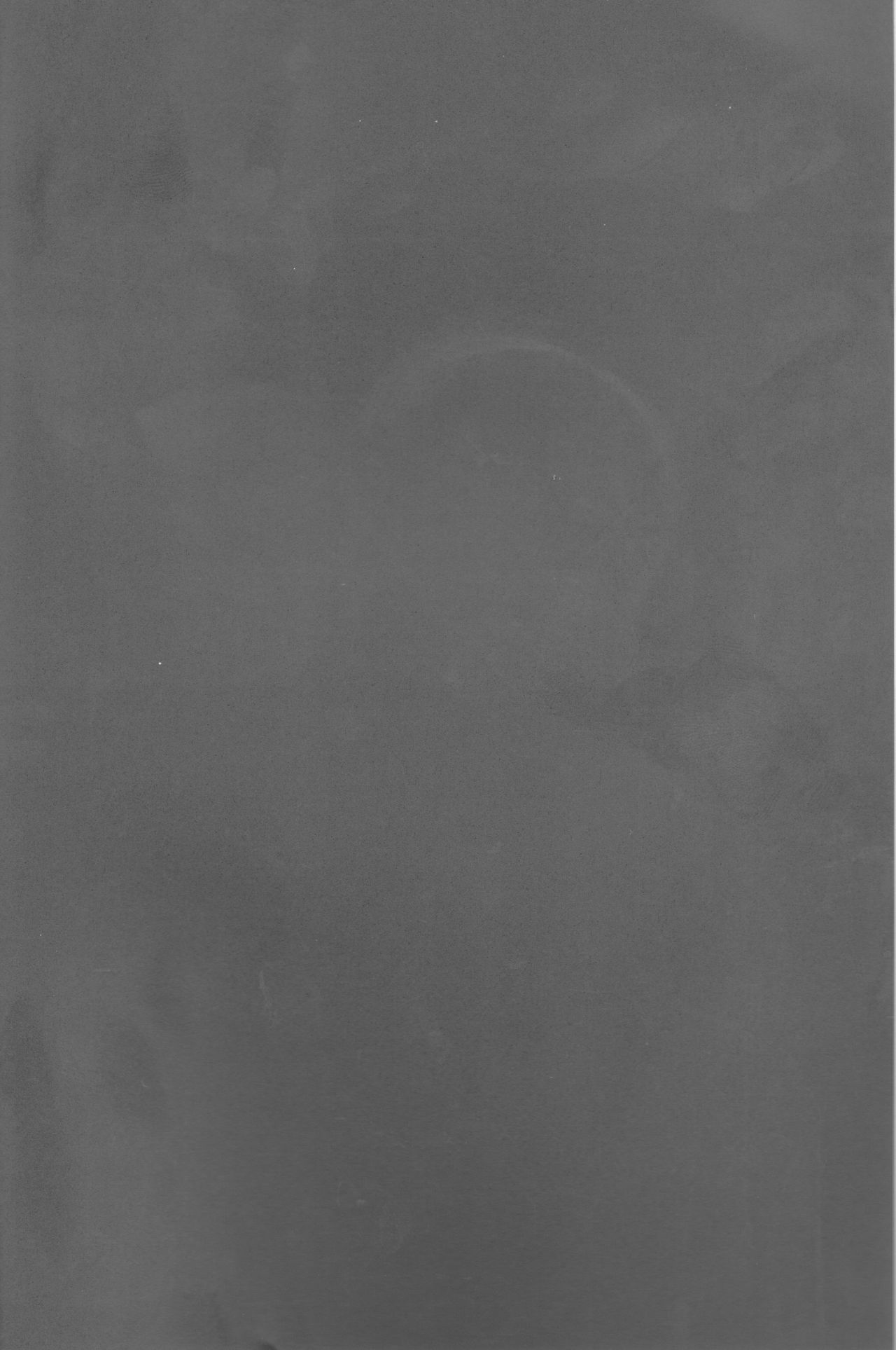 (銀盤のglory0.5) [一晩仔猫 (七夏ねむ)] 金猫ペイシェンス (ユーリ!!! on ICE) [英訳]