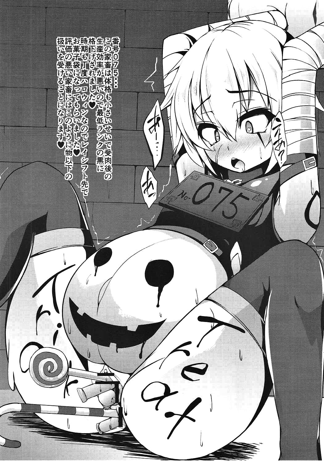 (C91) [朝寝坊クライシス (明寝マン)] 家畜調教組織CHALDEA (Fate/GrandOrder)