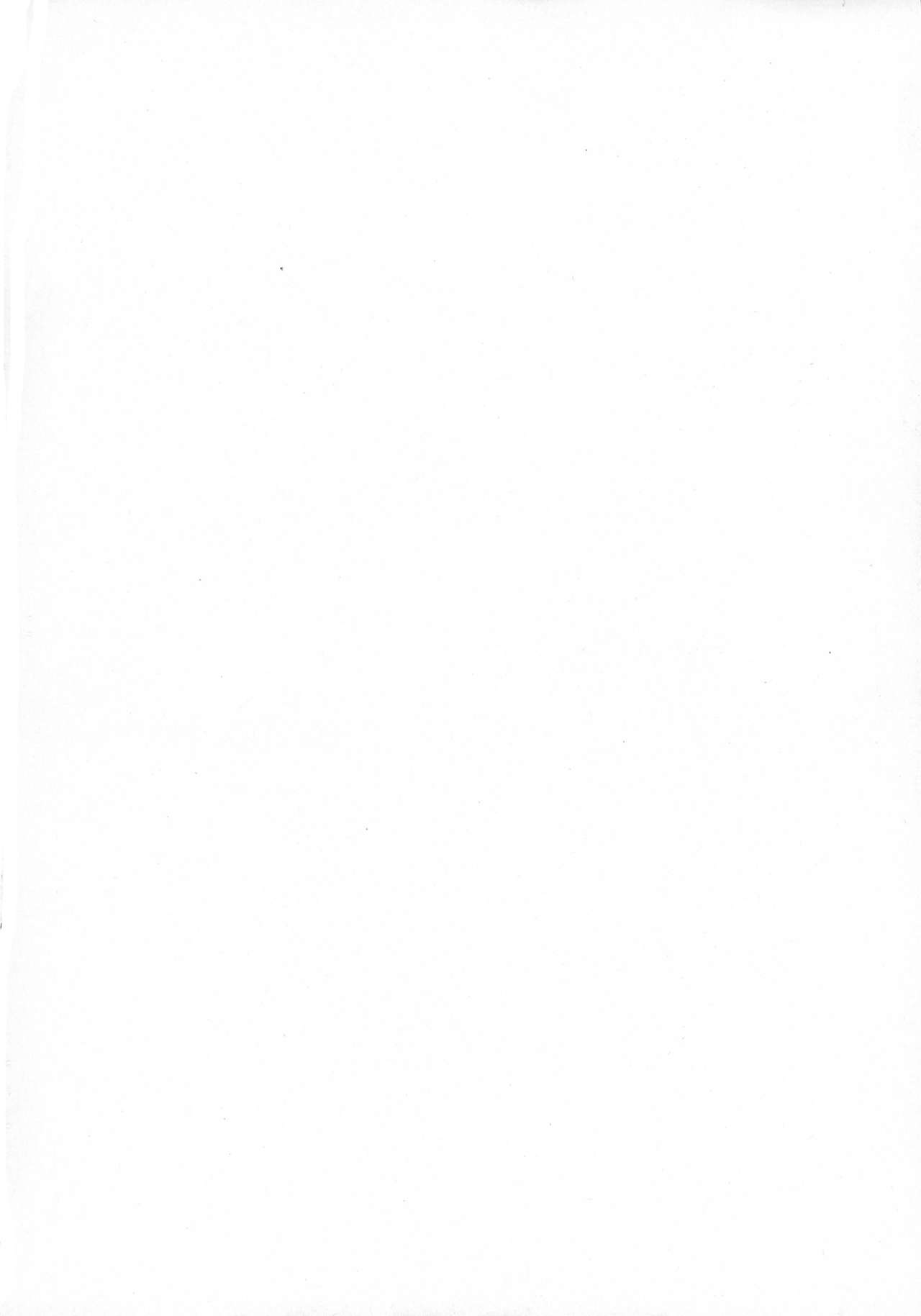 (C91) [MACHIGUY-G (井浦ヤミ)] BLACK DOWN ZWEI (グランブルーファンタジー)