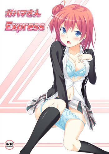 (C88) [ぎふとべる (まごろな)] ガハマさんExpress (やはり俺の青春ラブコメはまちがっている。)