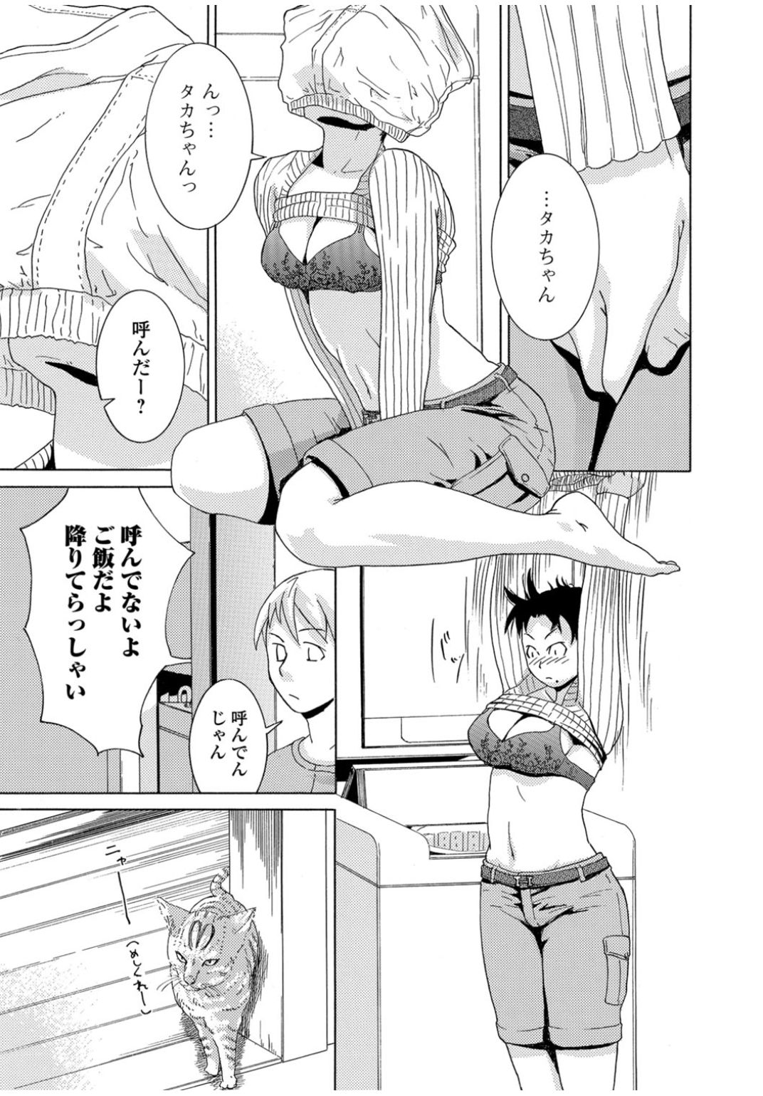 Web Comic 饕餮 Vol.11 [DL版]