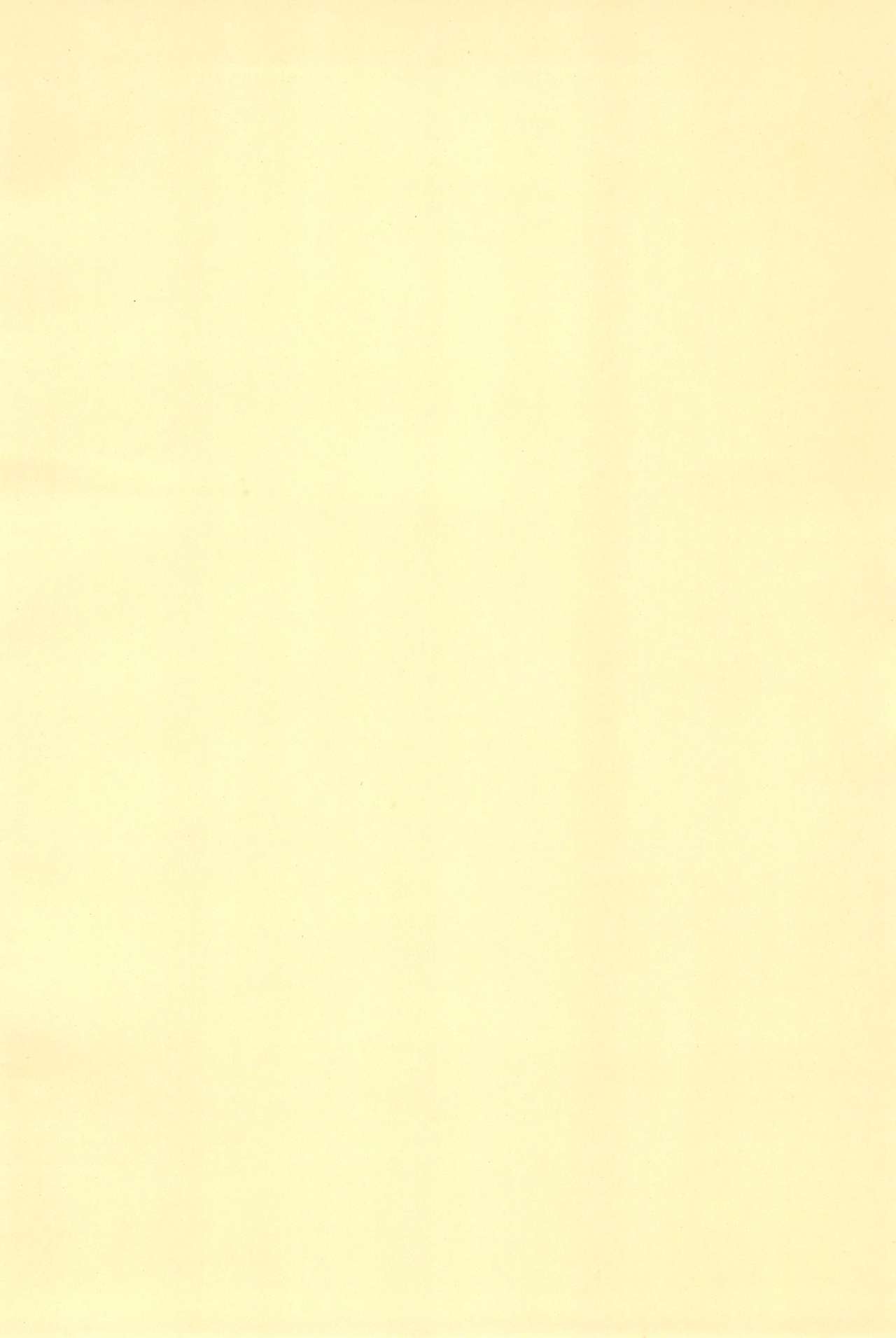 (もう一つの卒業) [Love Bird (小桜ぼたん)] 少年H (おジャ魔女どれみ)