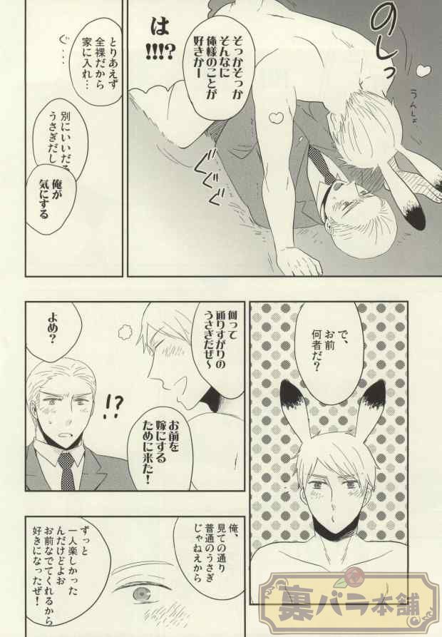 (C86) [88 (hinoe)] うさぎのきもち (Axis Powers ヘタリア)
