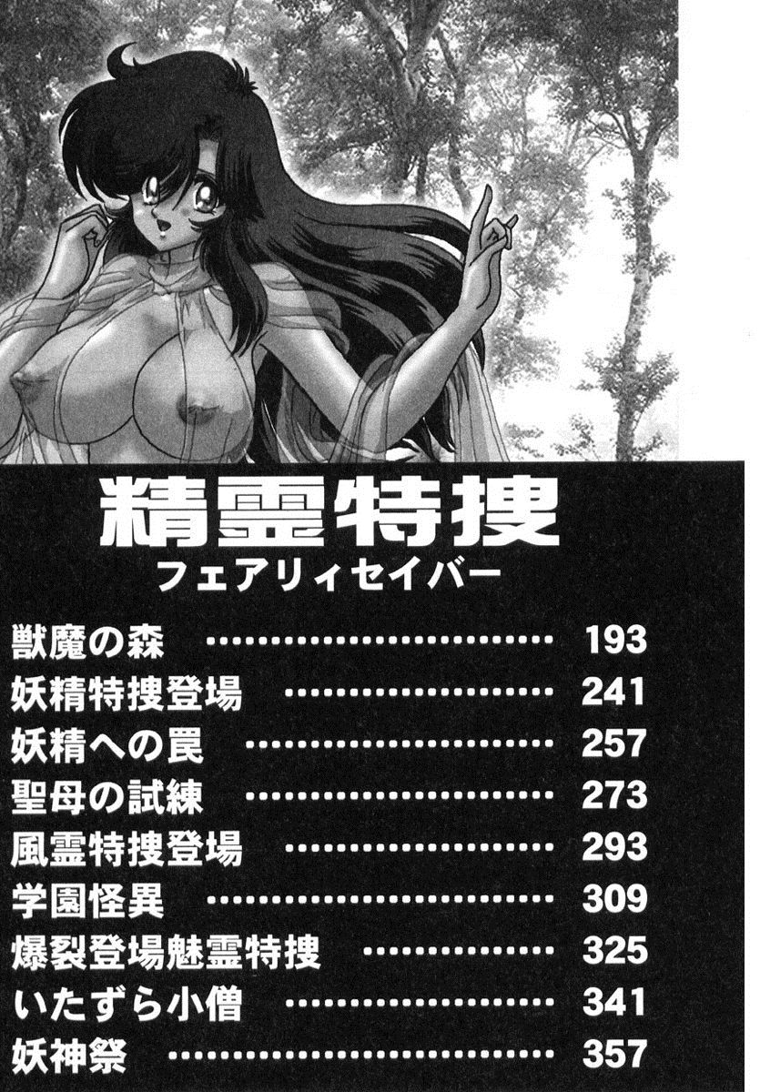 [上藤政樹] 精霊特捜フェアリィセイバー