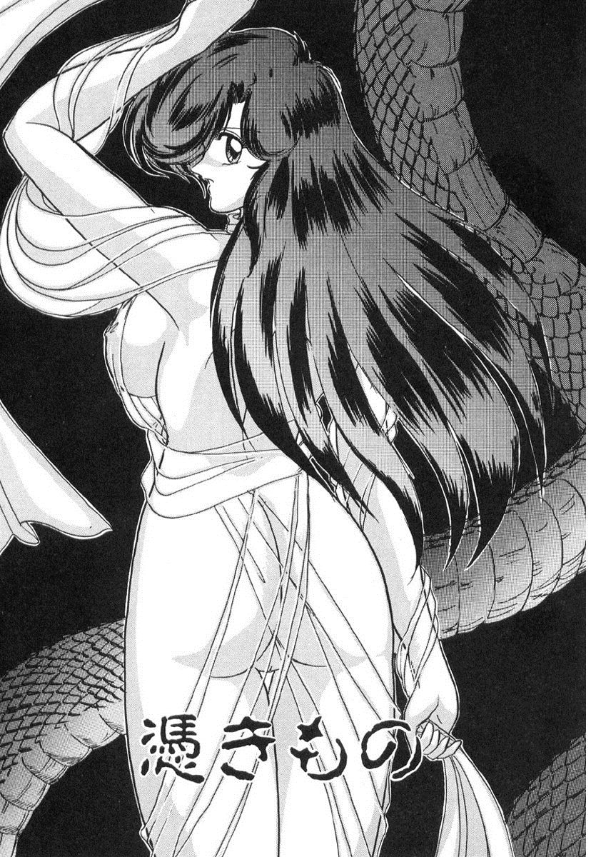 [上藤政樹] 精霊特捜フェアリィセイバー