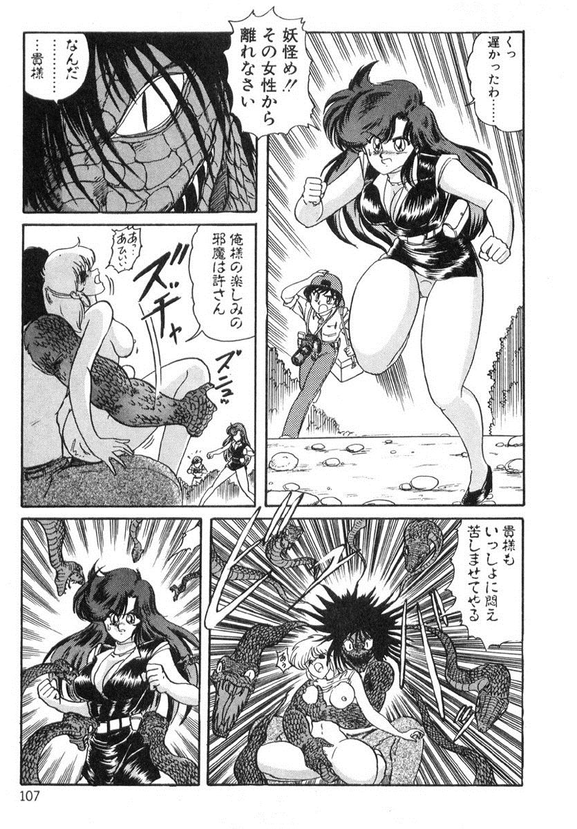 [上藤政樹] 精霊特捜フェアリィセイバー