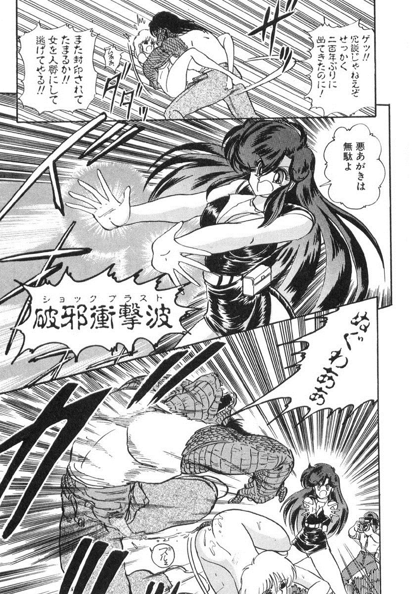 [上藤政樹] 精霊特捜フェアリィセイバー