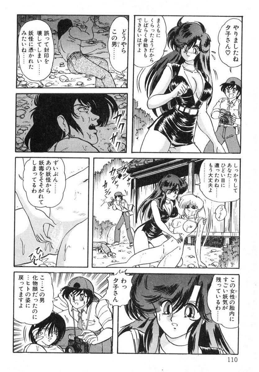 [上藤政樹] 精霊特捜フェアリィセイバー