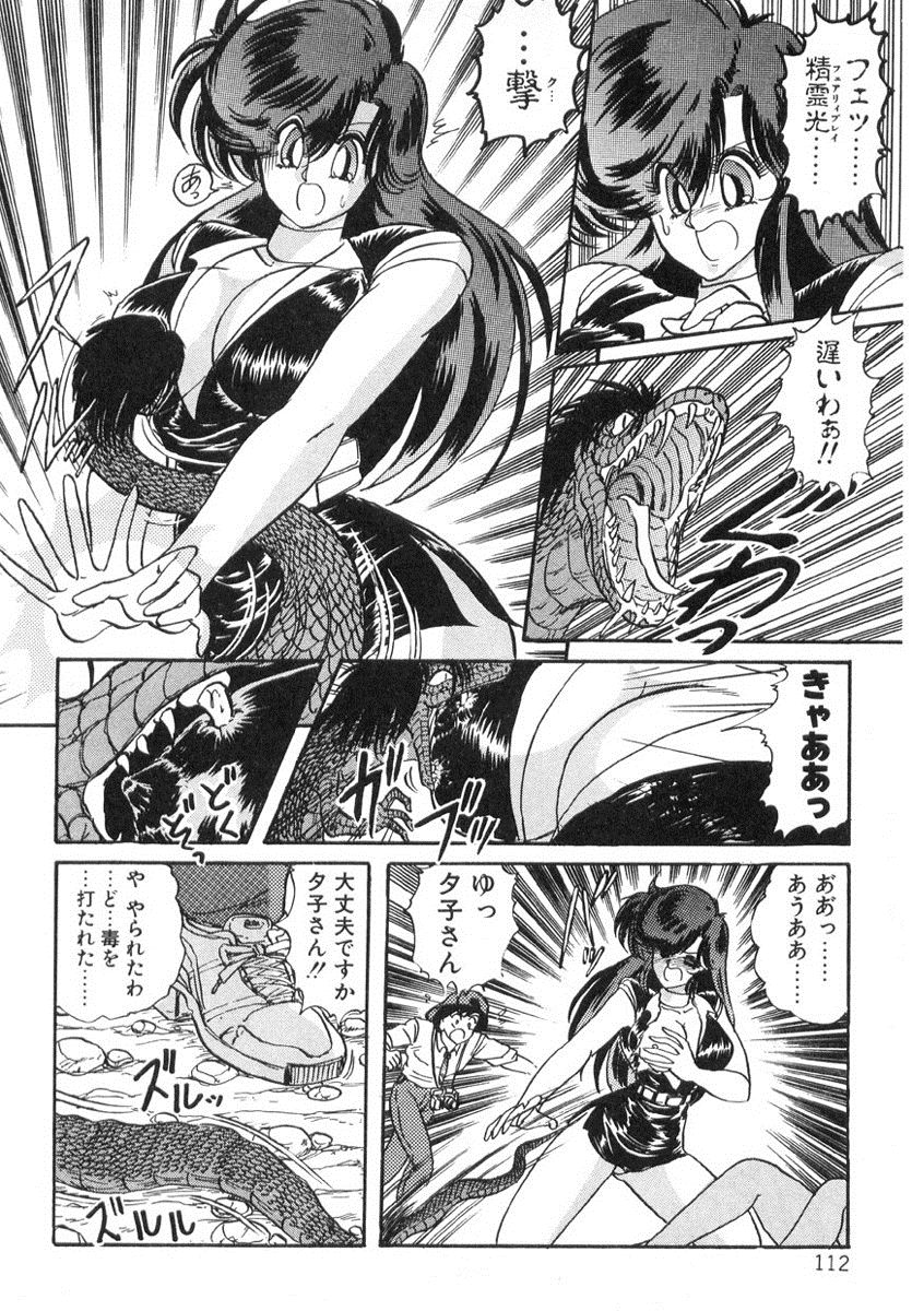 [上藤政樹] 精霊特捜フェアリィセイバー