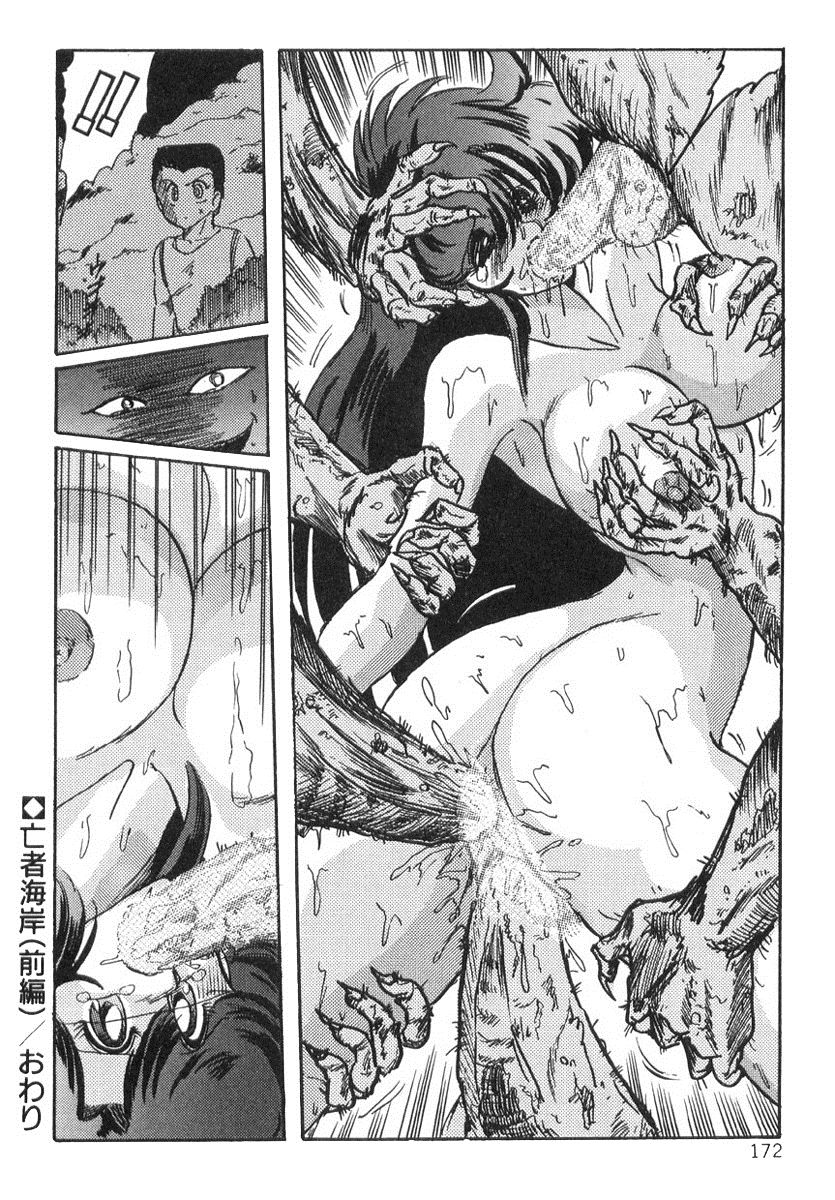 [上藤政樹] 精霊特捜フェアリィセイバー