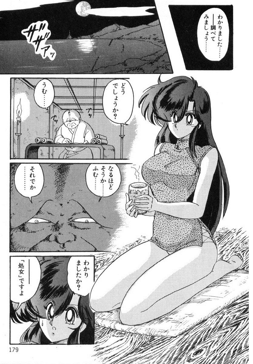 [上藤政樹] 精霊特捜フェアリィセイバー