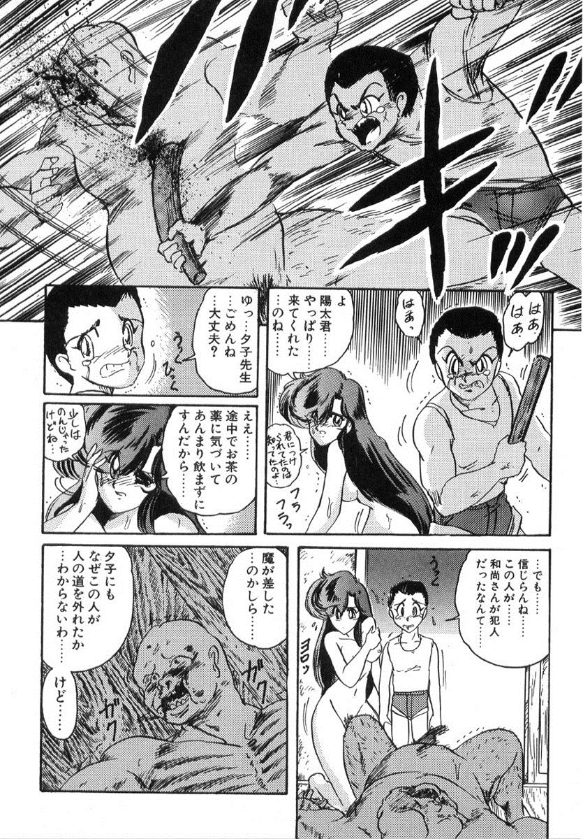 [上藤政樹] 精霊特捜フェアリィセイバー