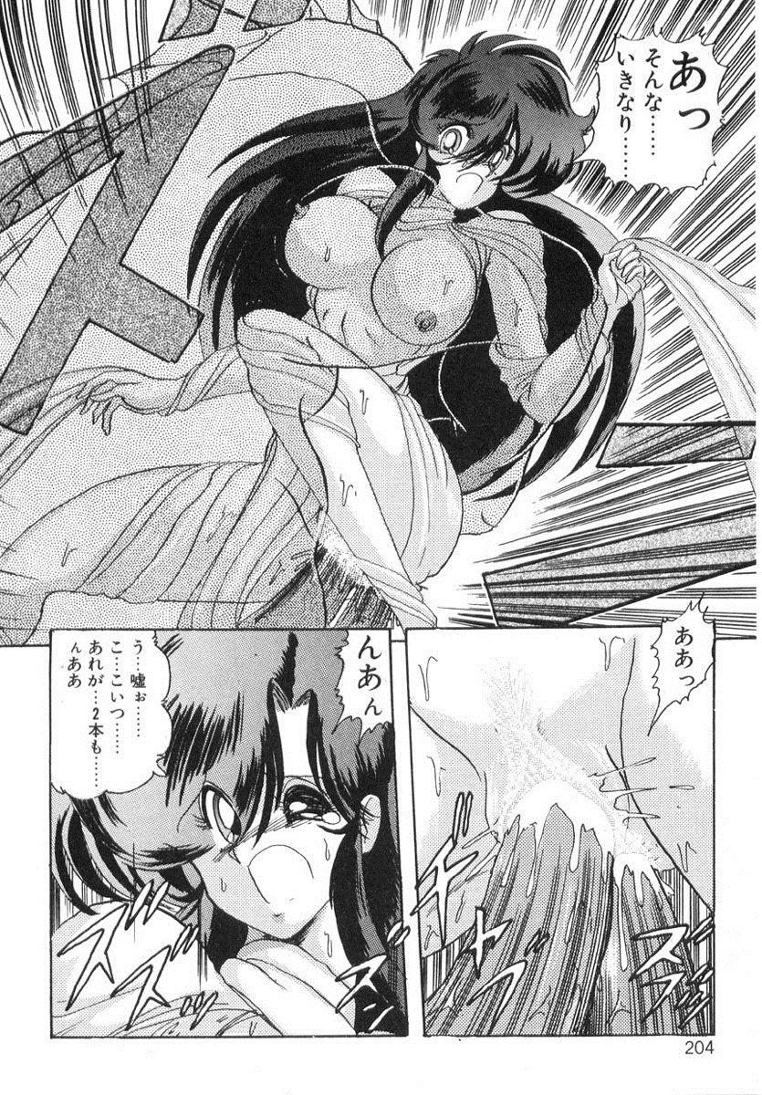 [上藤政樹] 精霊特捜フェアリィセイバー