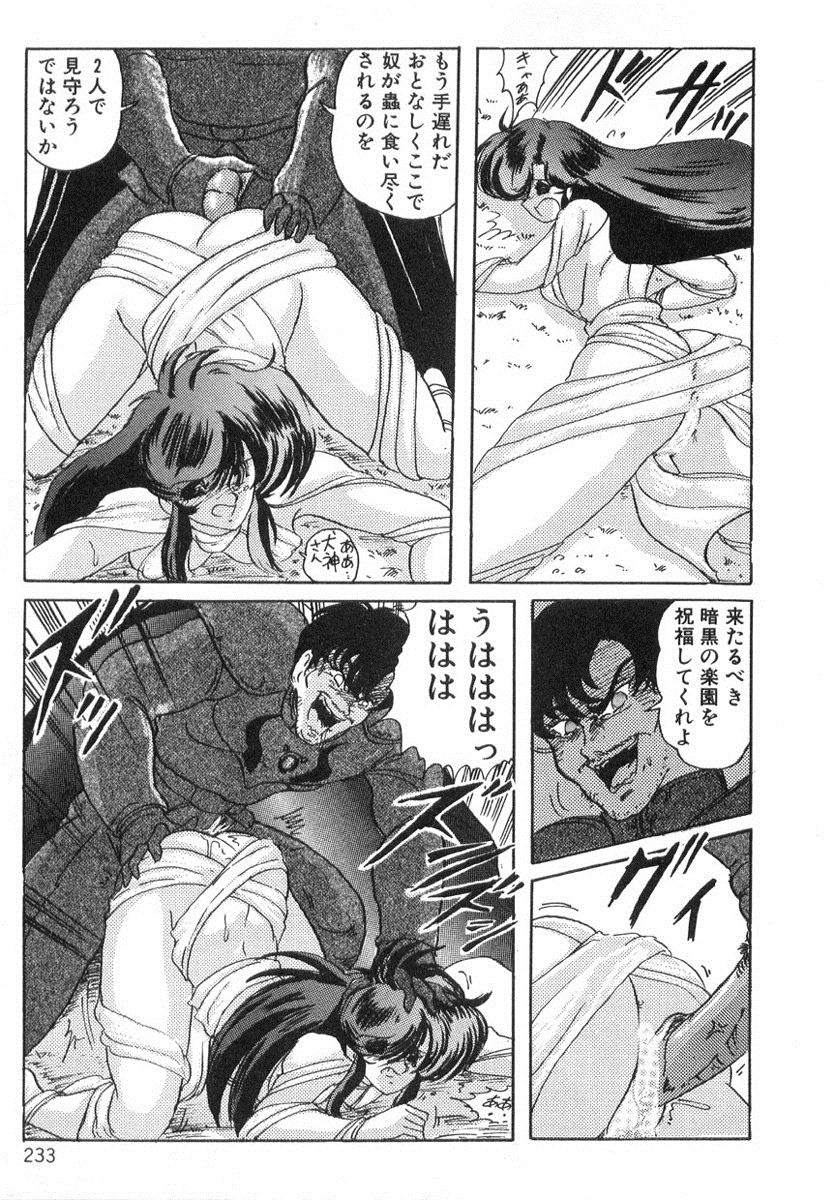 [上藤政樹] 精霊特捜フェアリィセイバー