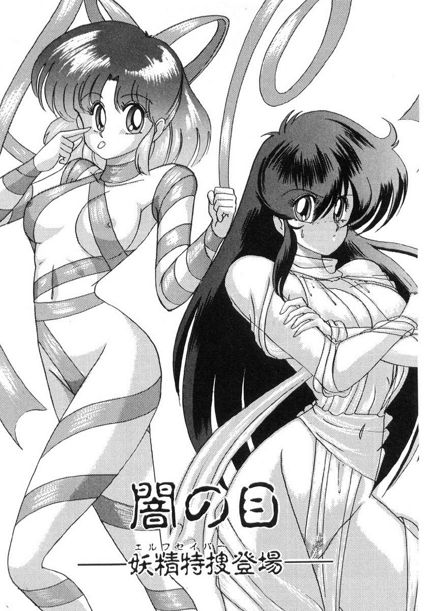 [上藤政樹] 精霊特捜フェアリィセイバー