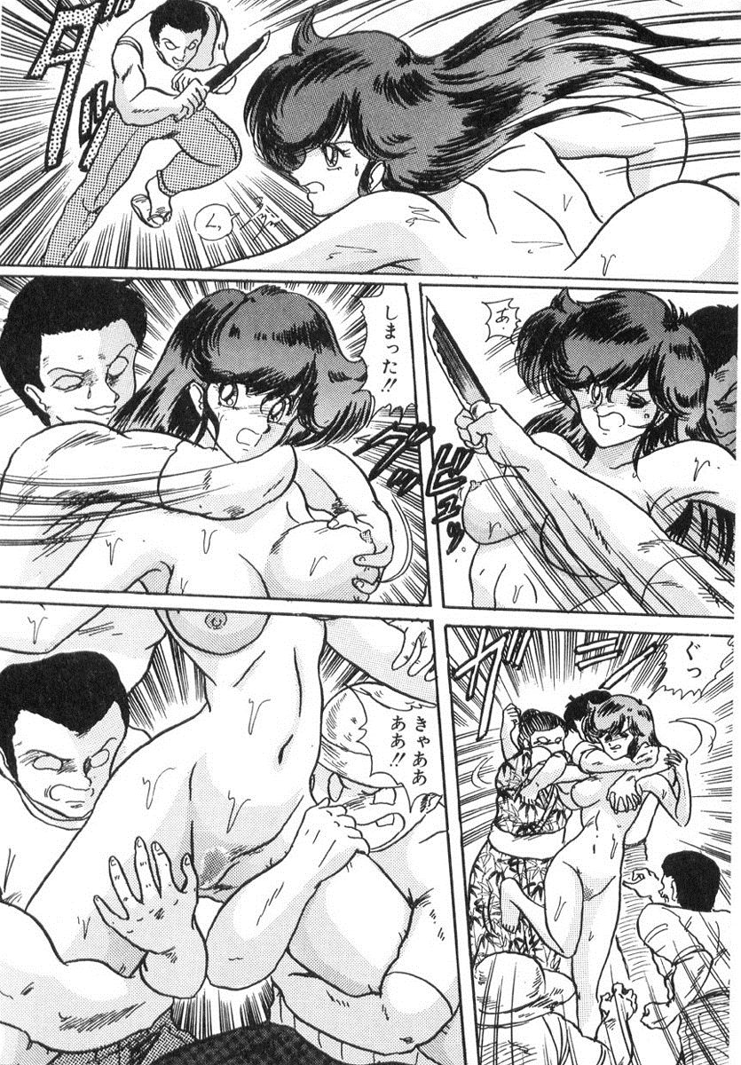 [上藤政樹] 精霊特捜フェアリィセイバー