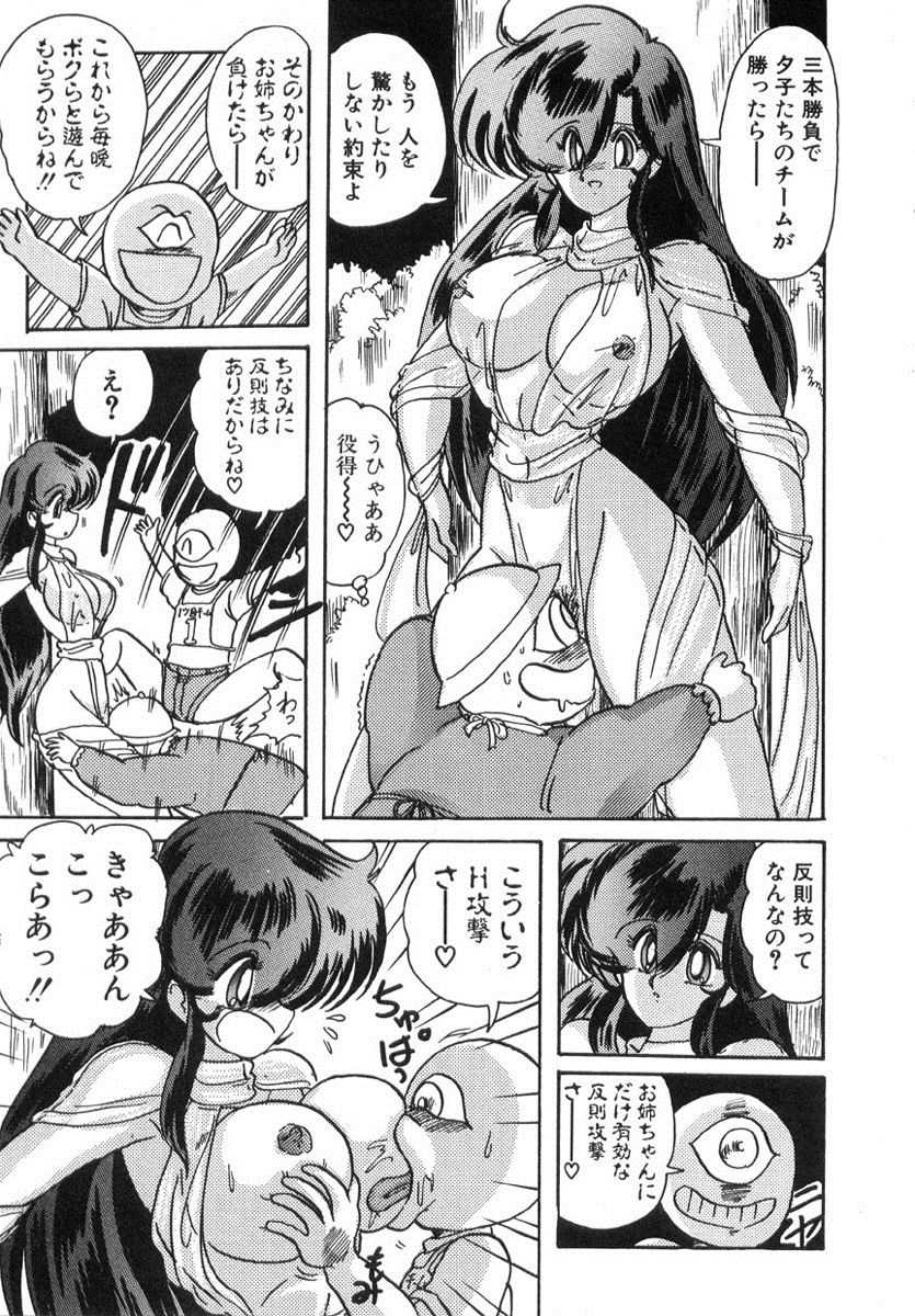 [上藤政樹] 精霊特捜フェアリィセイバー