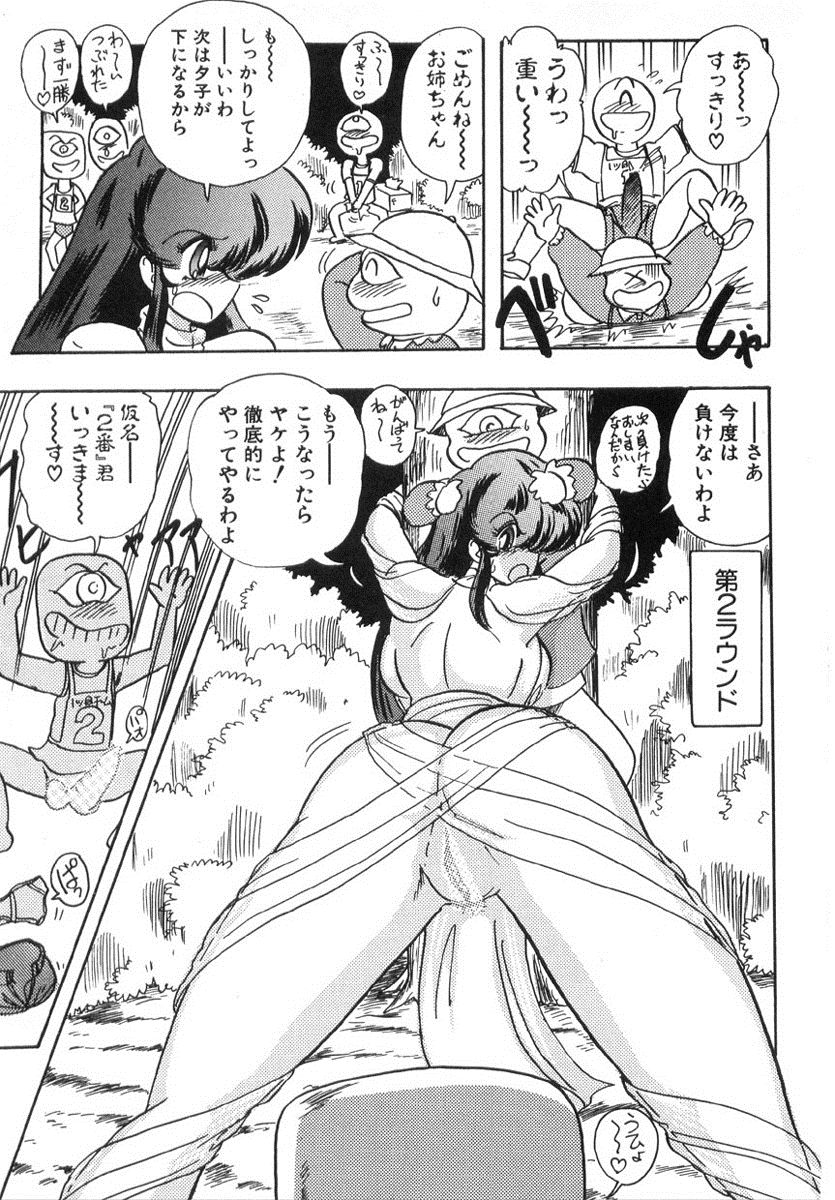 [上藤政樹] 精霊特捜フェアリィセイバー