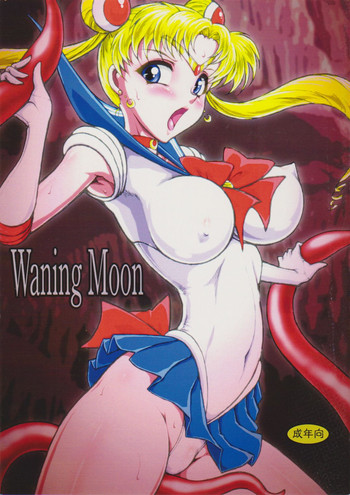 (C88) [太陽系開発機構 (○林修○)] Waning Moon (美少女戦士セーラームーン)