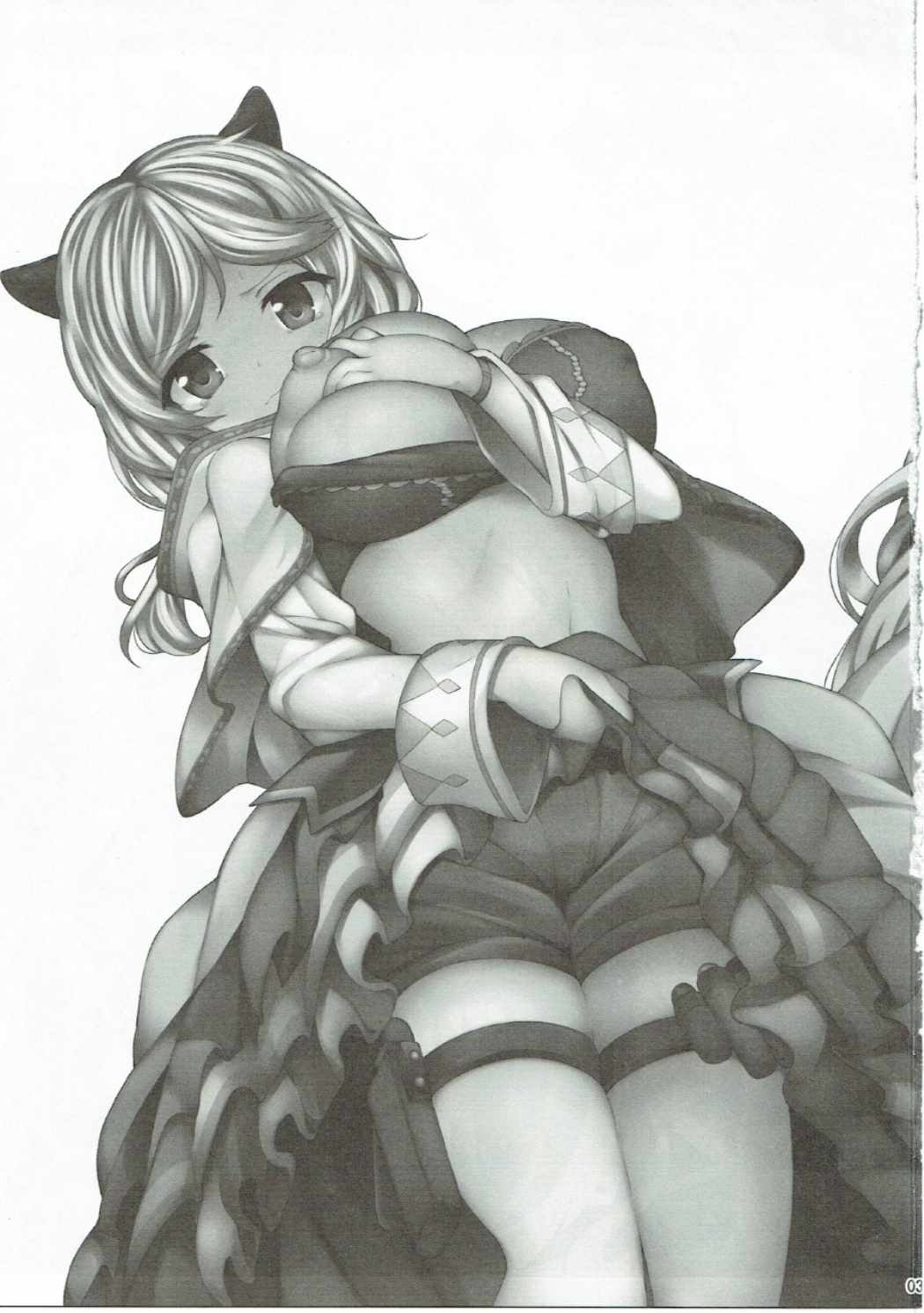 (C90) [駄肉家さん (白家ミカ)] 奴隷種族の少女は孕むしかない。 (グランブルーファンタジー)