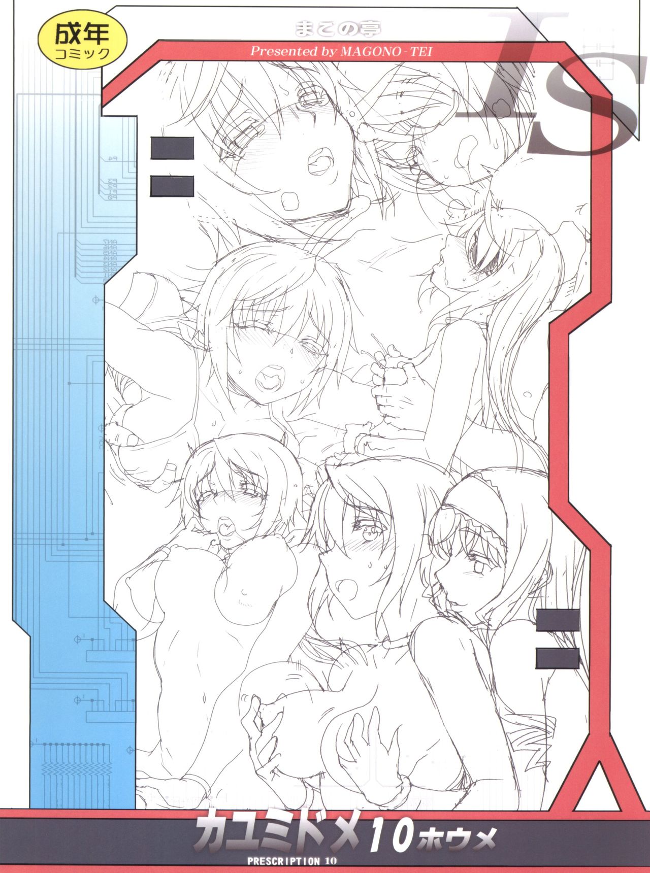 (C85) [まごの亭 (夏庵)] カユミドメ10ホウメ (IS＜インフィニット・ストラトス＞)